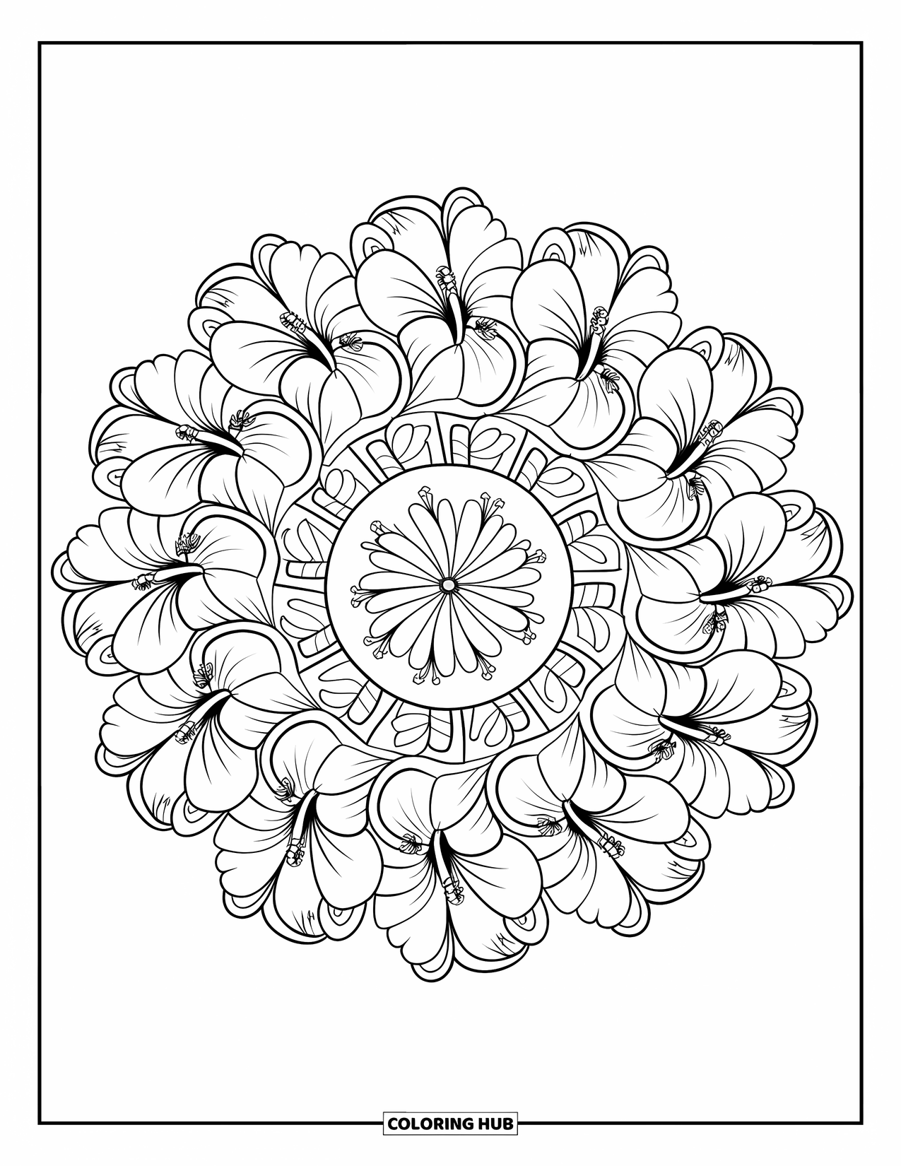 Hawaiian Flower Coloring Page for Adults: A spiral of hibiscus and ginger blooms forms the center of a patterned mandala