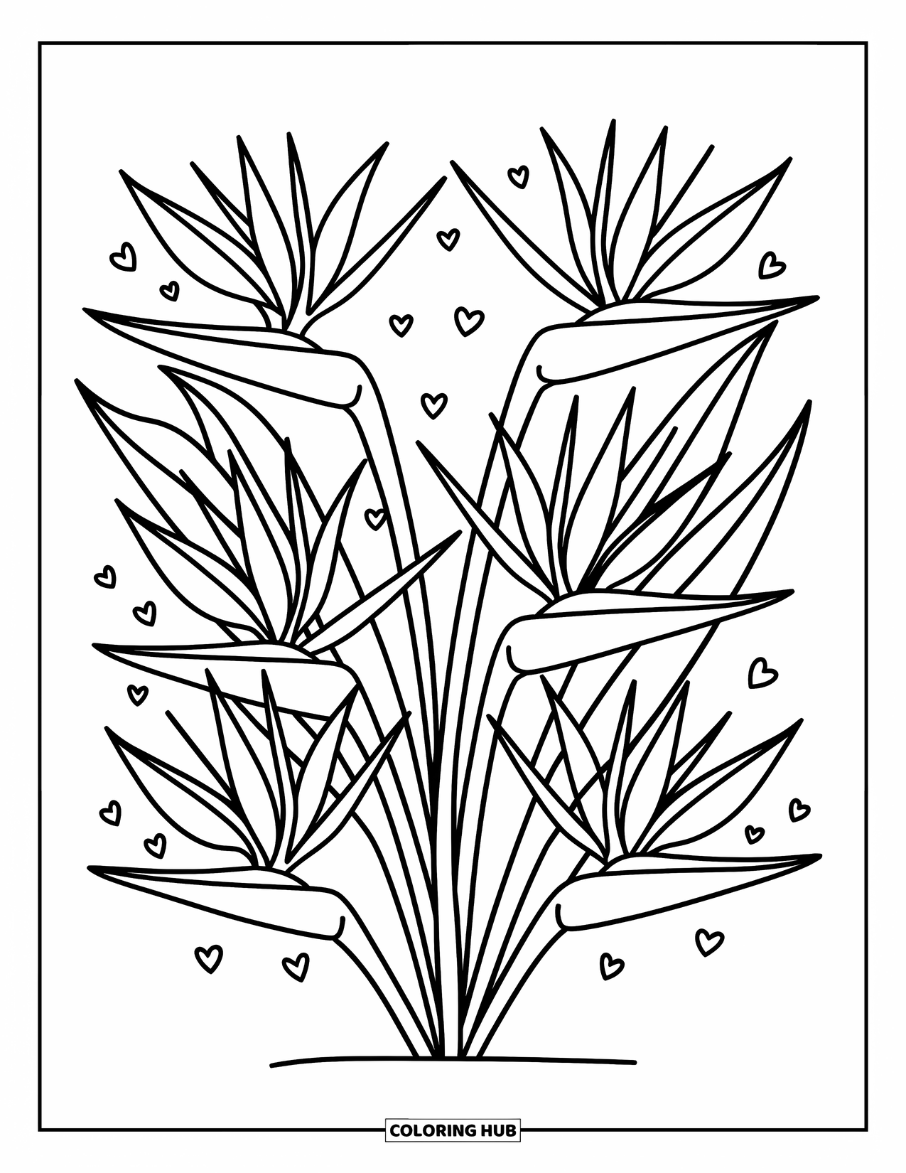 Hawaiian Flower Coloring Page for Adults: Bird of paradise blooms burst upward with smooth petals and adorable mini accents