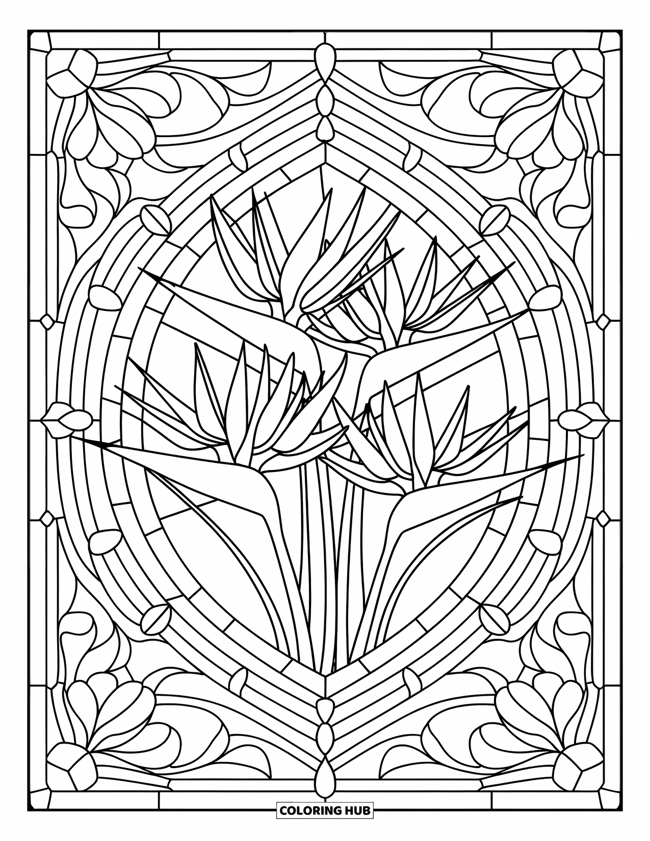 Hawaiian Flower Coloring Page for Adults: Bird of paradise flowers are framed in a symmetrical stained glass-style design