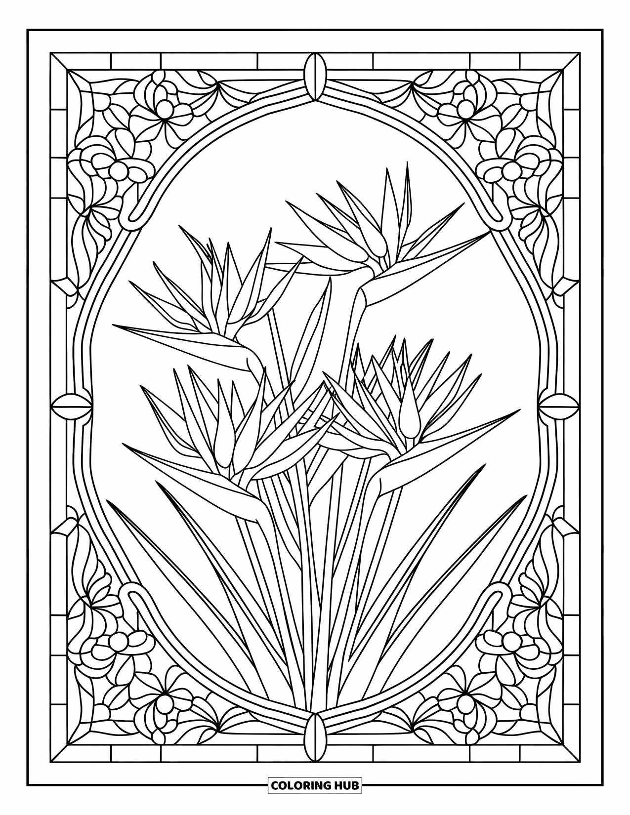 Hawaiian Flower Coloring Page for Adults: Bird of paradise flowers bloom within an ornate stained glass-inspired floral frame