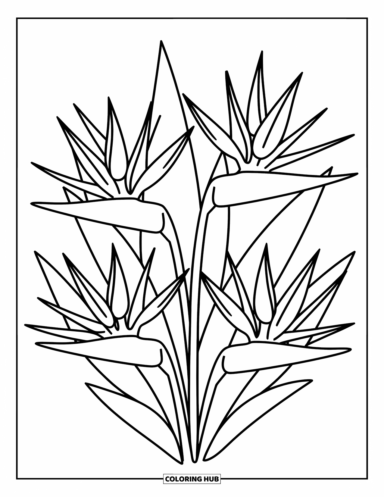 Hawaiian Flower Coloring Page for Adults: Bird of paradise flowers fan upward in soft curves with playful leaves and tiny doodles