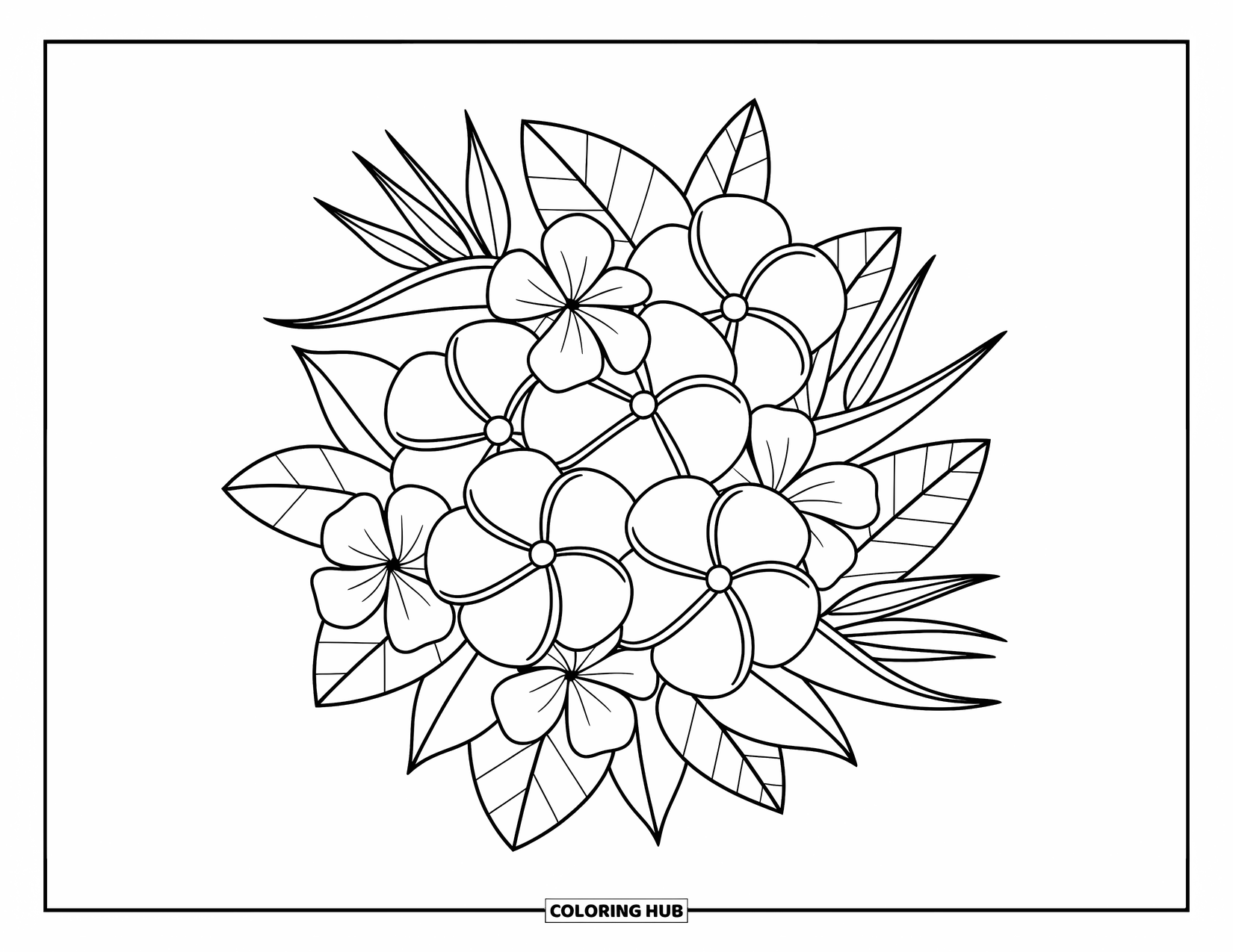 Hawaiian Flower Coloring Page for Adults: Hibiscus and plumeria flowers bloom together in a cozy cluster with playful leaves