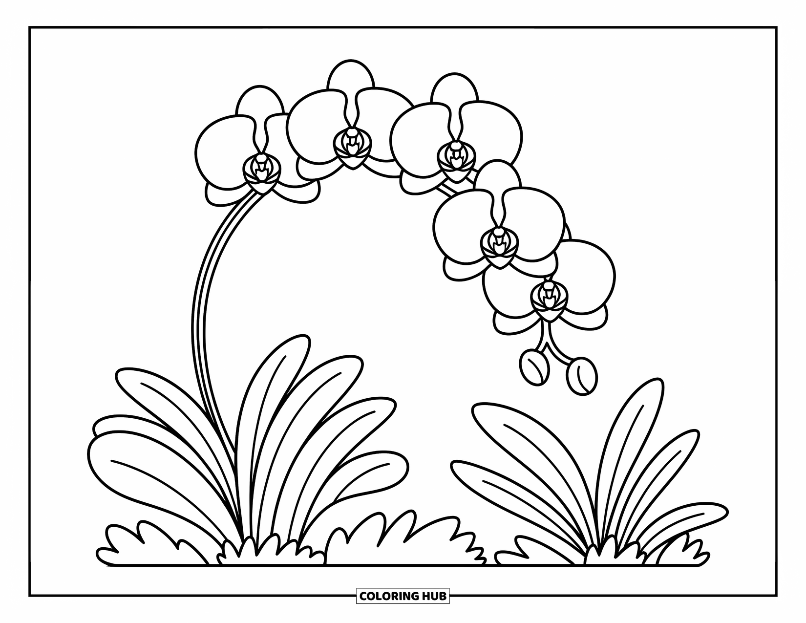 Hawaiian Flower Coloring Page for Adults: Orchids gently sway on a bent stem with cozy leaves and playful tiny details