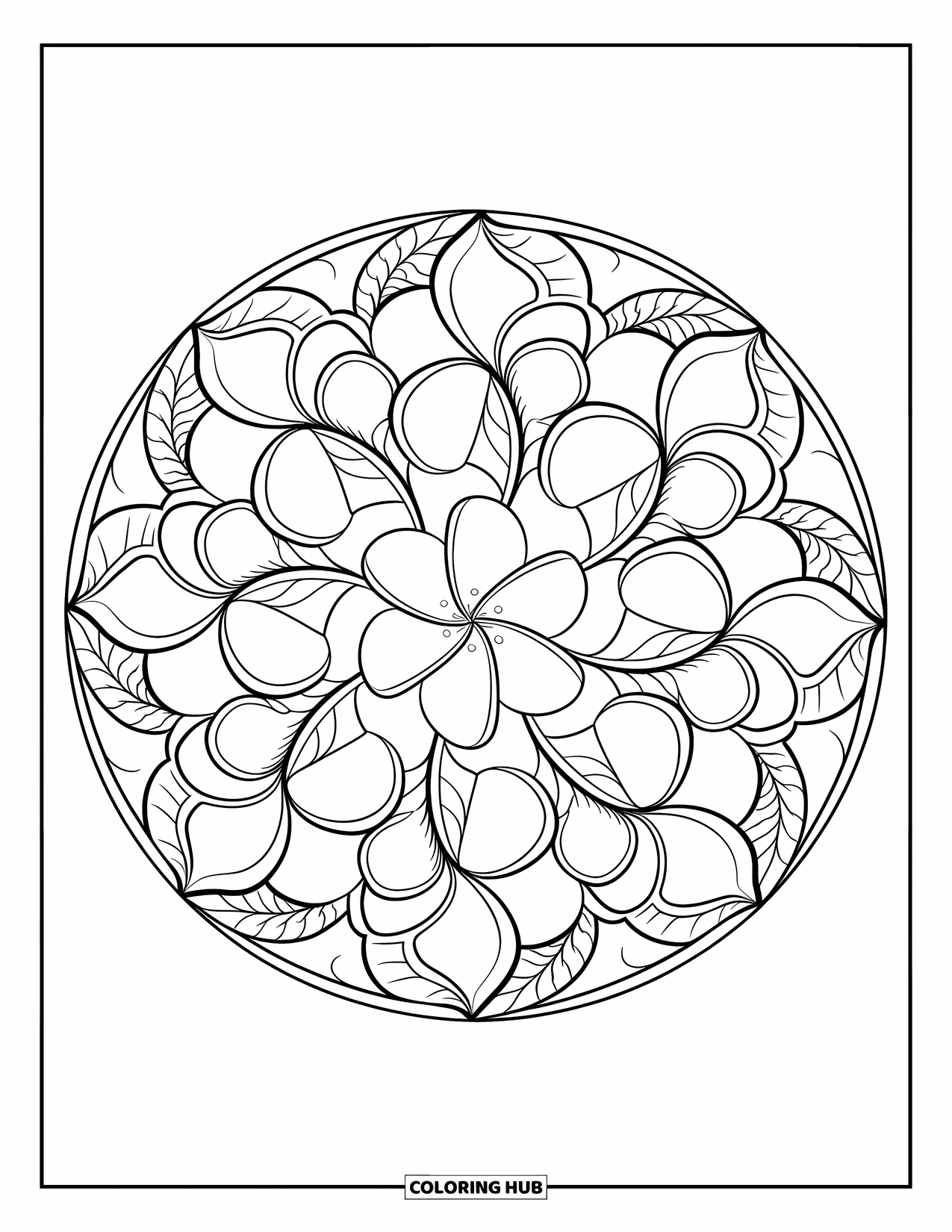Hawaiian Flower Coloring Page for Adults: Plumeria and orchids rest in a floral mandala with intricate leaves and patterns