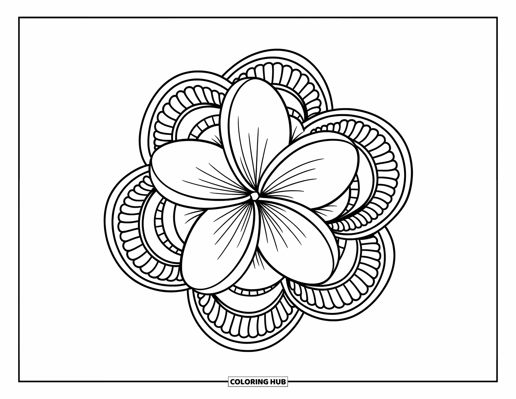 Hawaiian Flower Coloring Page for Adults: Plumeria bloom shines in the middle of delicate layered rings and lace-like edges