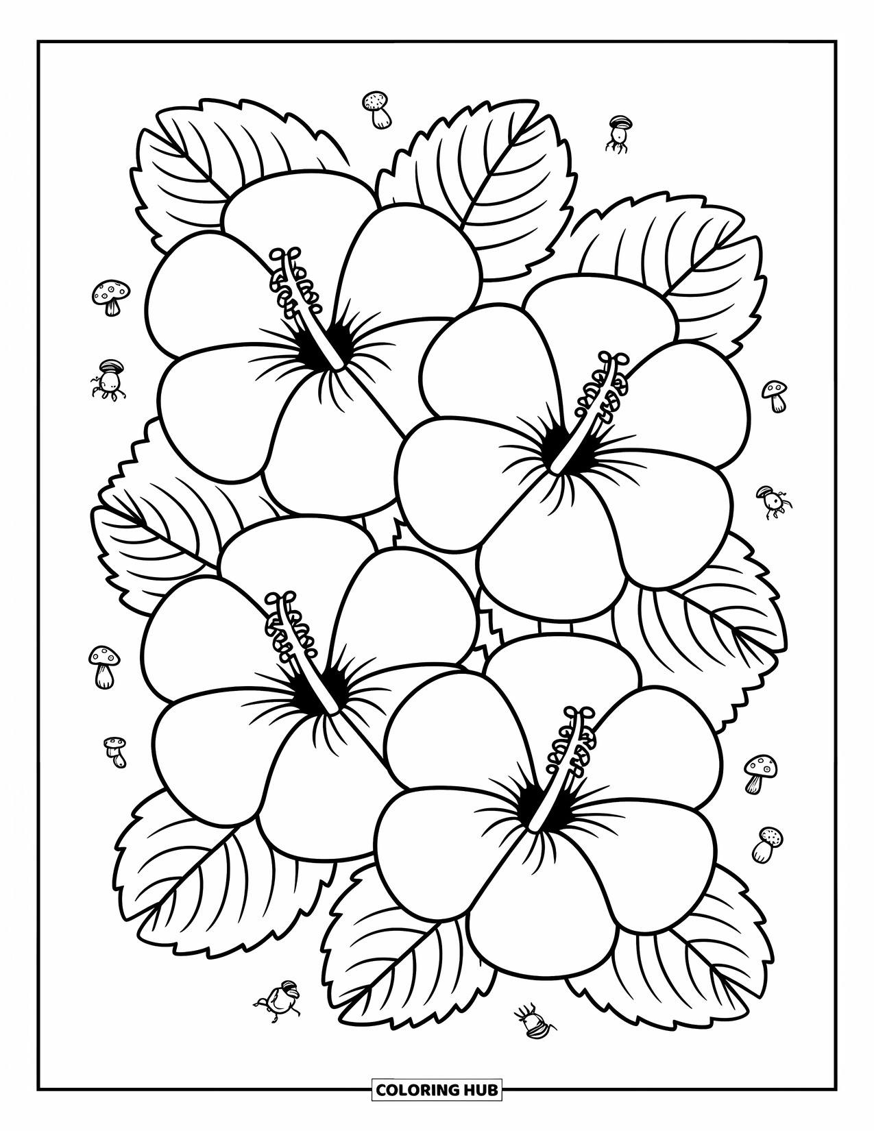 Hawaiian Flower Coloring Page for Adults: Three hibiscus flowers overlap with rounded petals and cozy leaf clusters