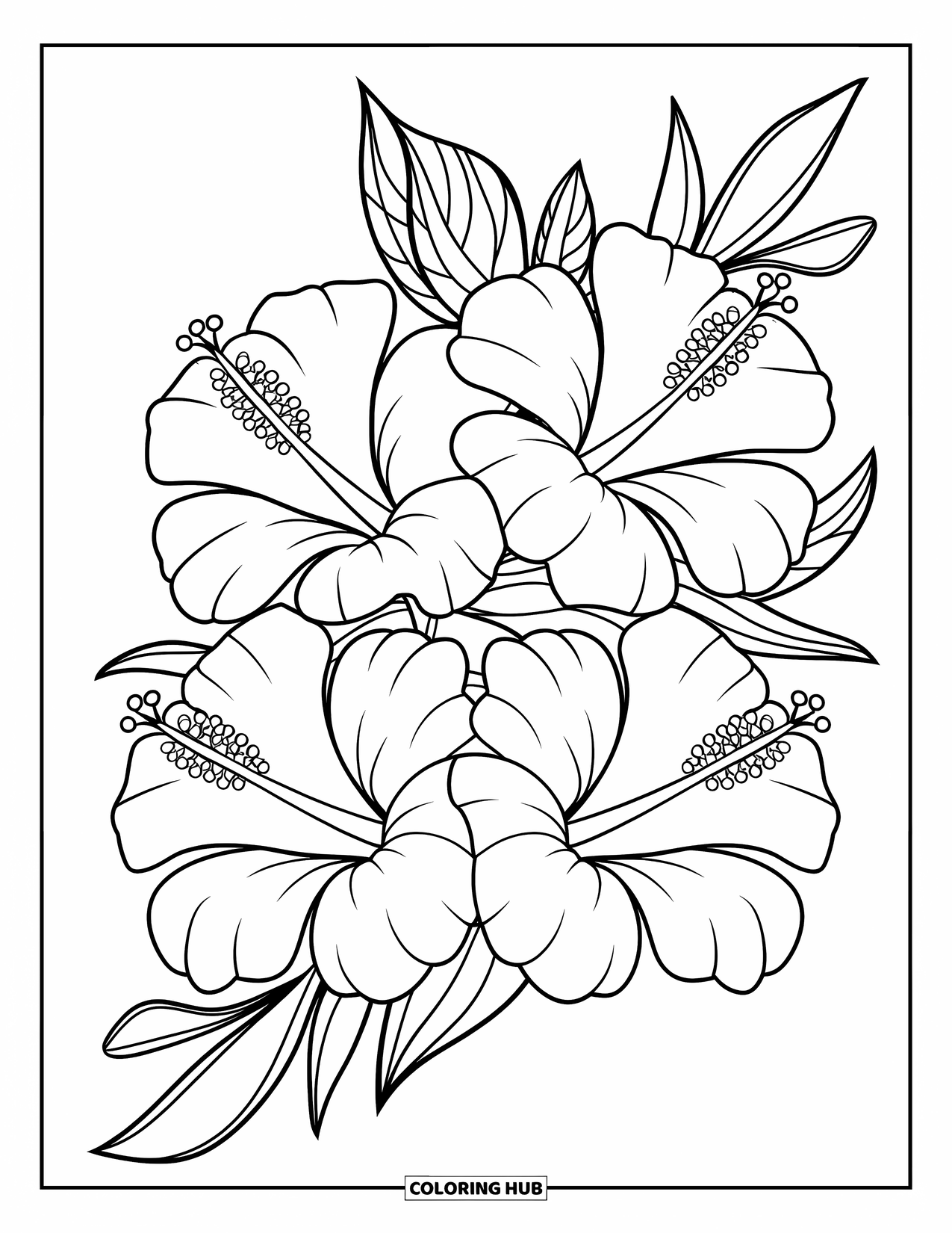 Hawaiian Flower Coloring Page for Kids: A trio of hibiscus flowers arranged in a modern triangle layout