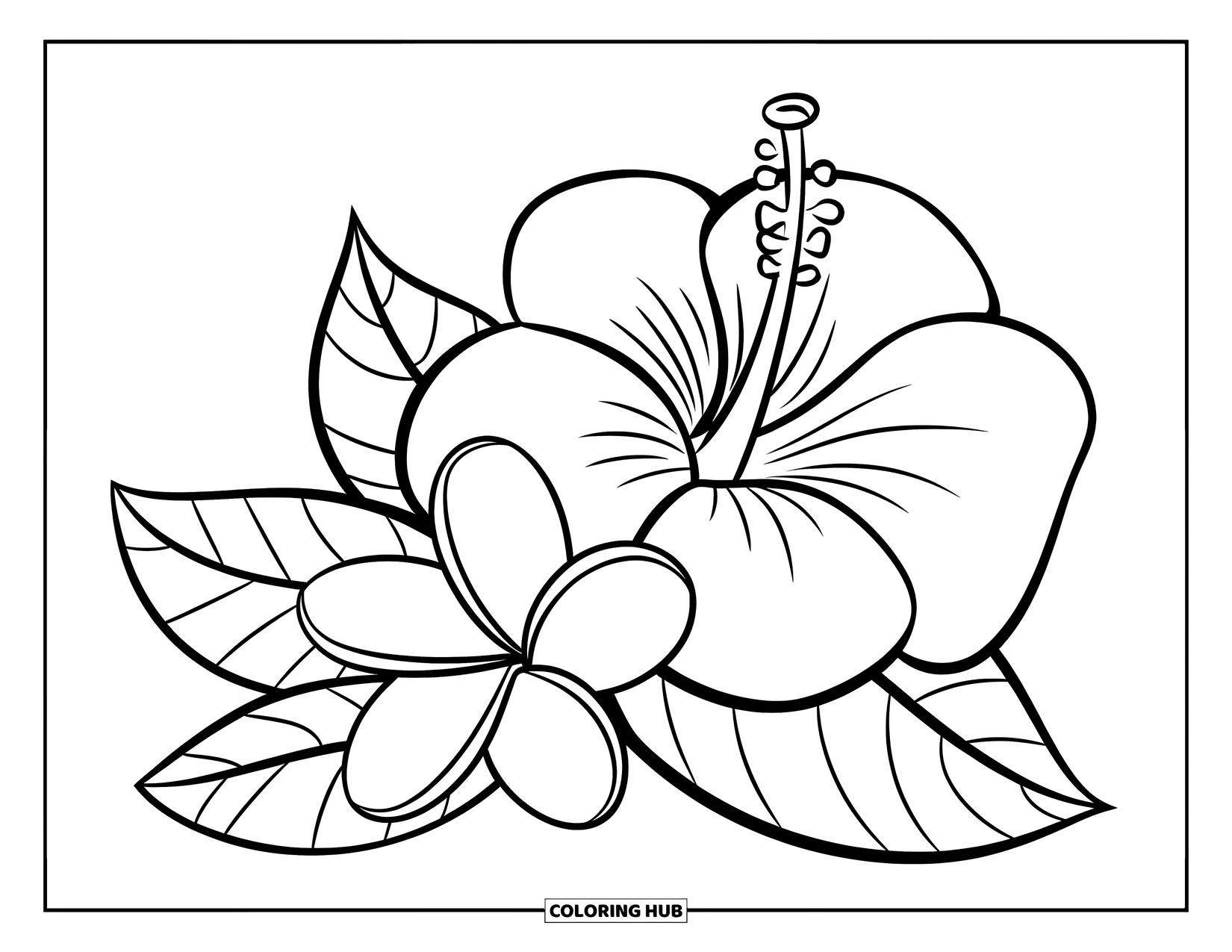 Hawaiian Flower Coloring Page for Kids: Big hibiscus and dainty plumeria bloom next to each other