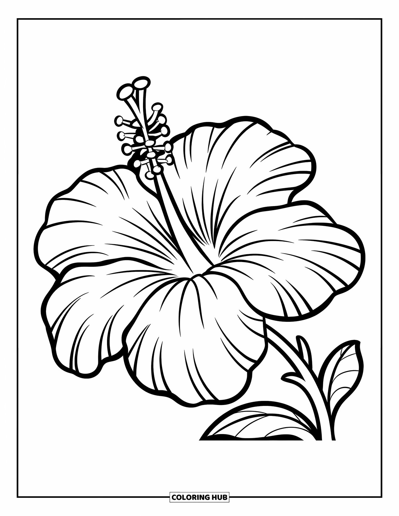 Hawaiian Flower Coloring Page for Kids: Big hibiscus with five thick petals and a curvy stem