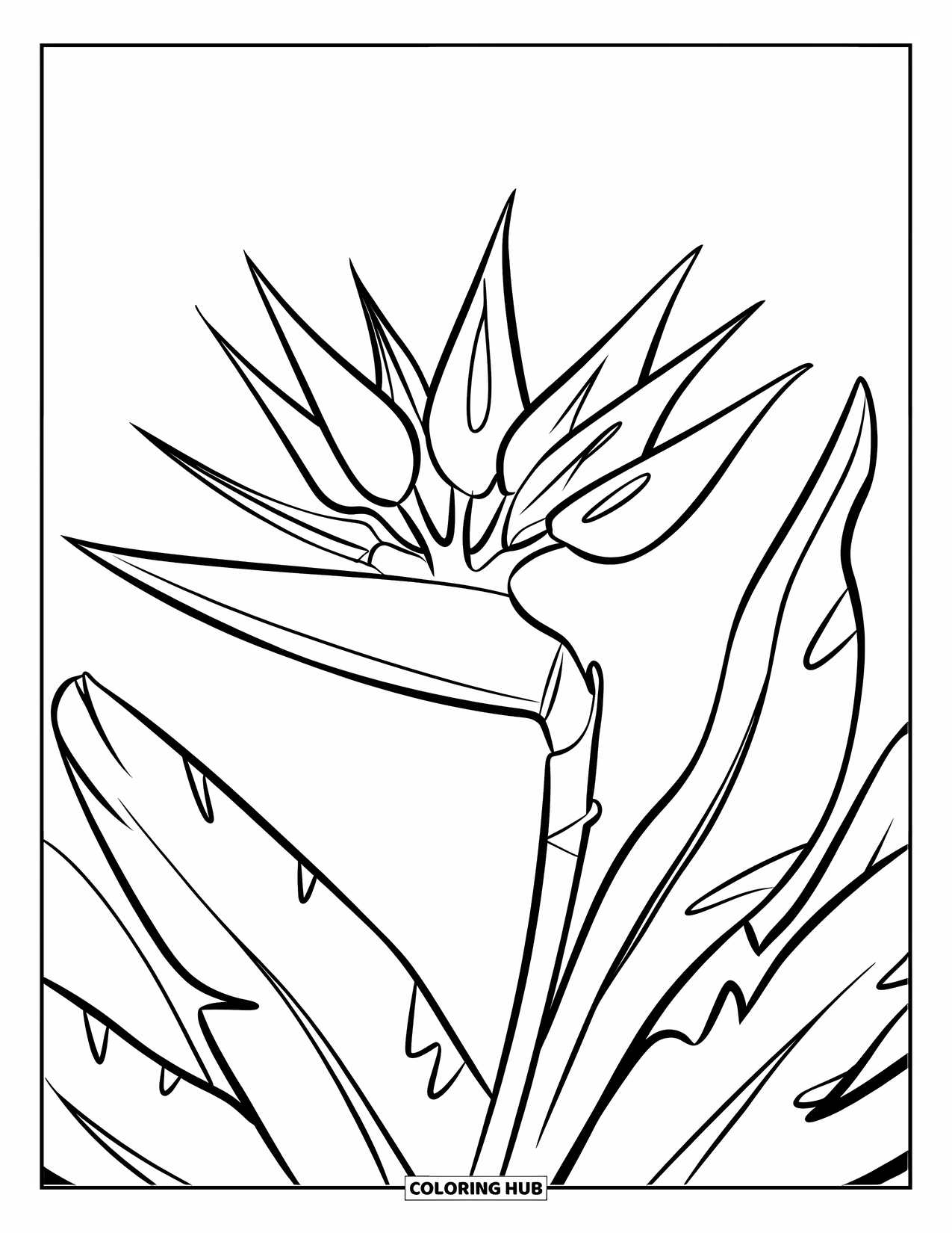 Hawaiian Flower Coloring Page for Kids: Bird of paradise flower with playful petals and clean outlines