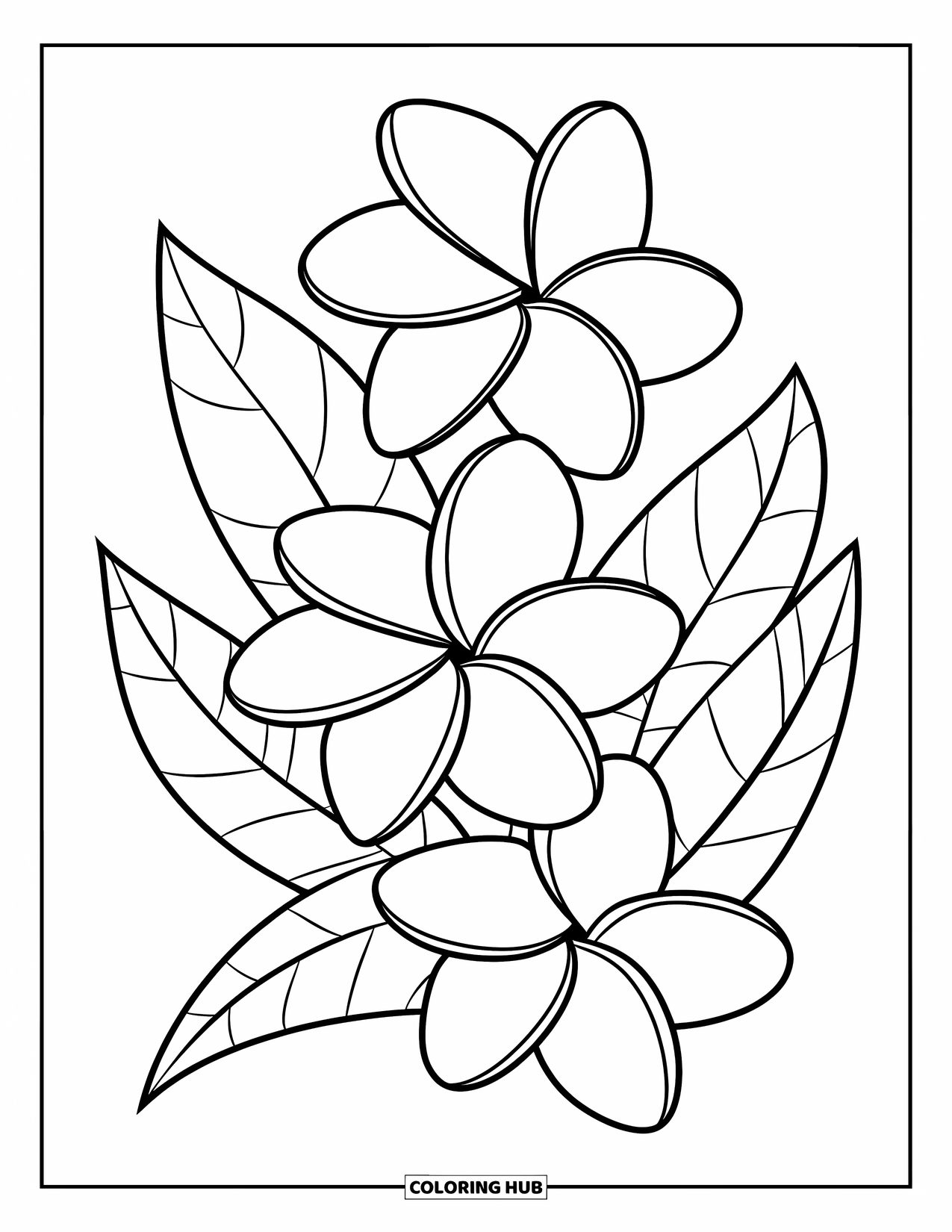 Hawaiian Flower Coloring Page for Kids: Diagonal stack of plumeria flowers with leaves tucked between