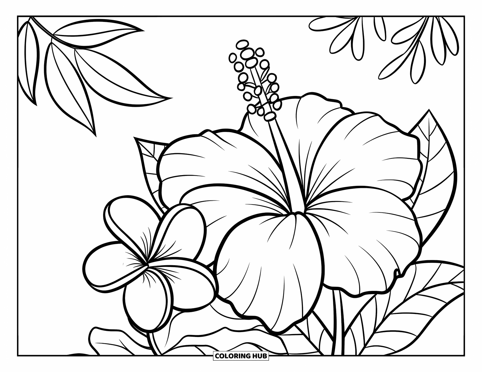 Hawaiian Flower Coloring Page for Kids: Hibiscus and plumeria rest together with a few leaves and a branch