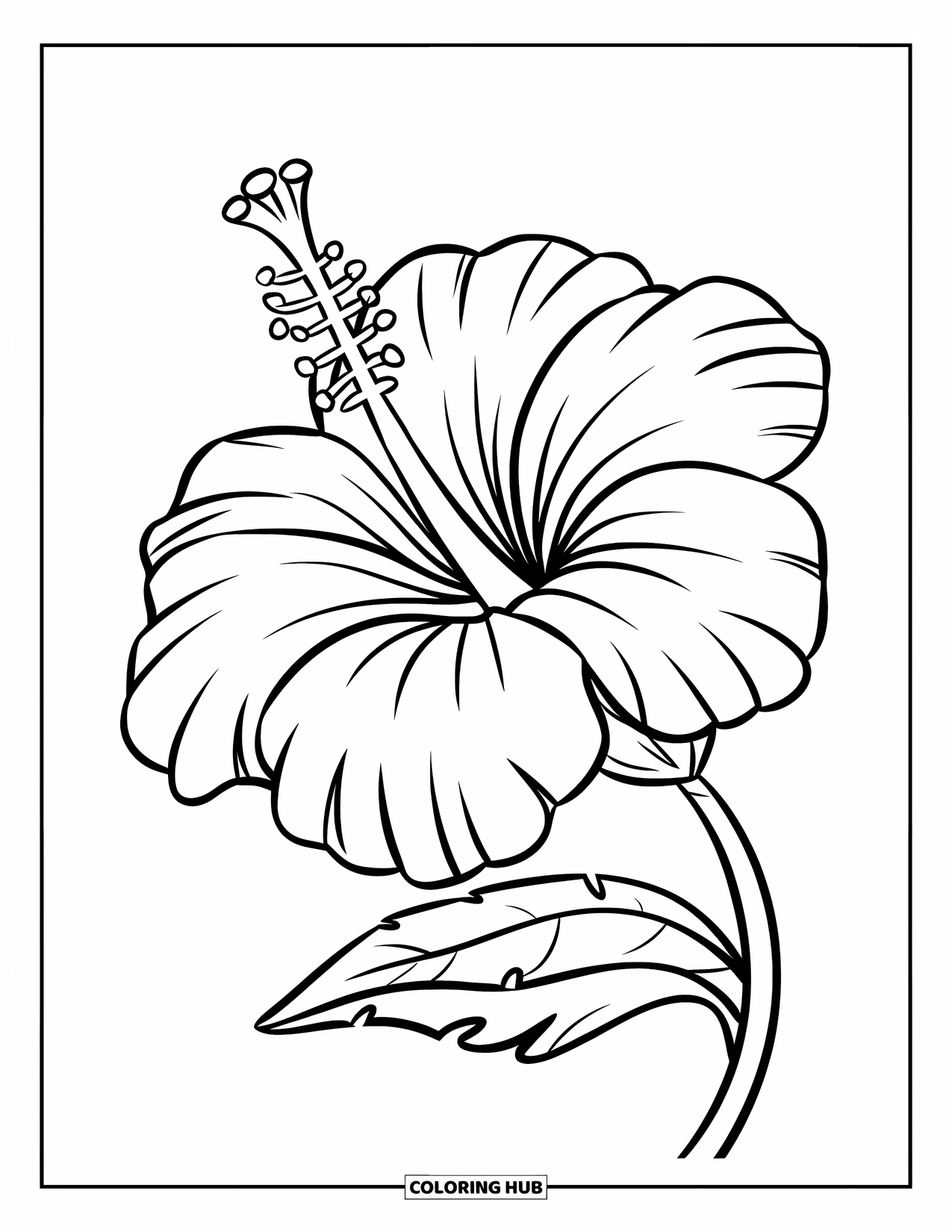 Hawaiian Flower Coloring Page for Kids: Hibiscus flower with bold petals and a twisty stem