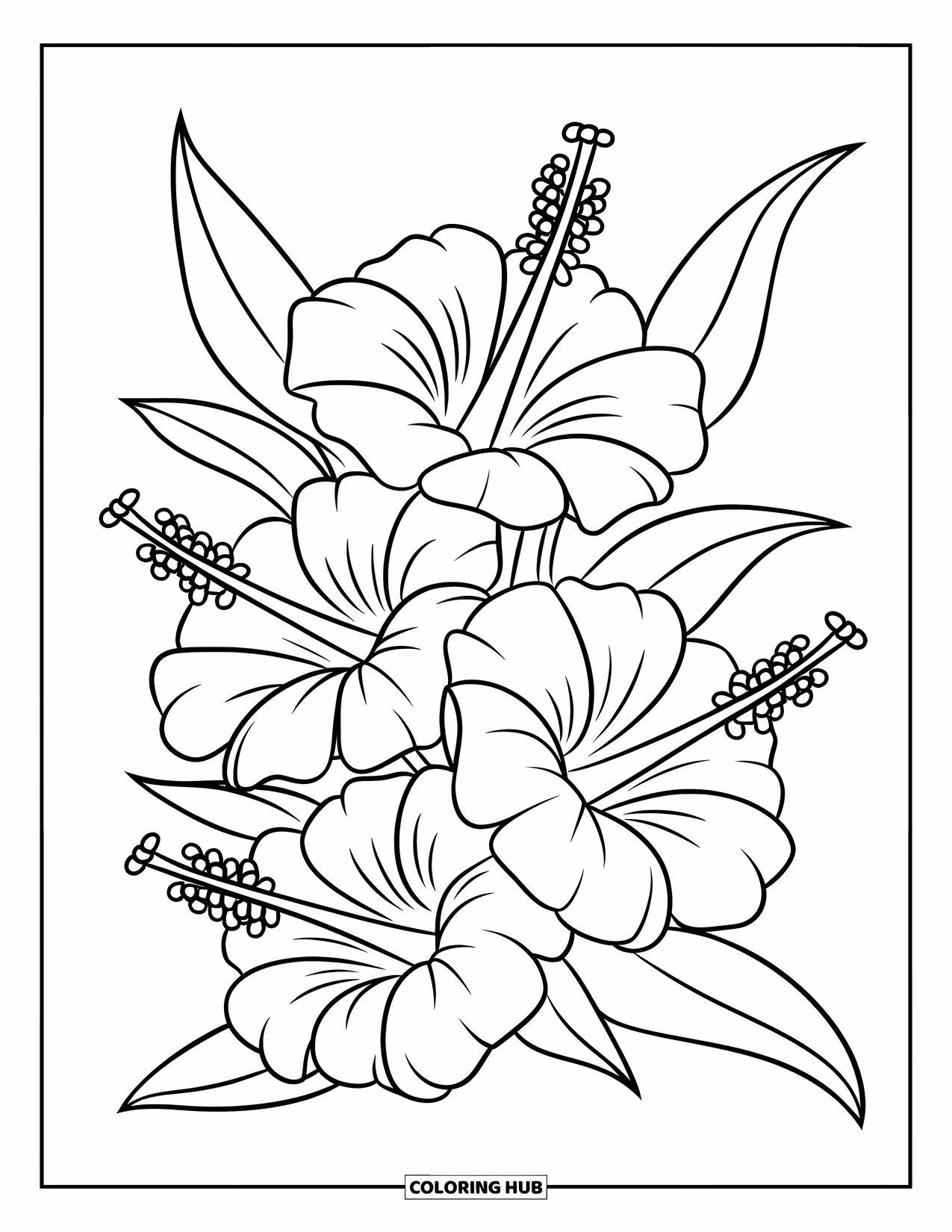 Hawaiian Flower Coloring Page for Kids: Hibiscus flowers form a triangle in a clean and expressive design