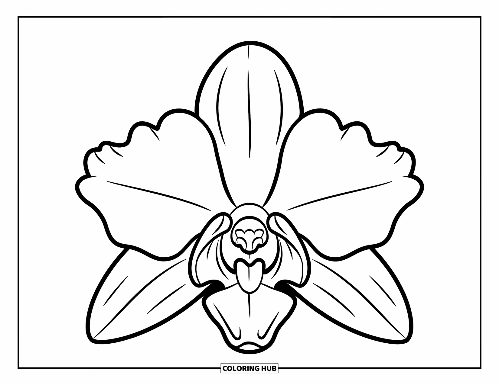 Hawaiian Flower Coloring Page for Kids: Large orchid bloom with bold lines and open petals