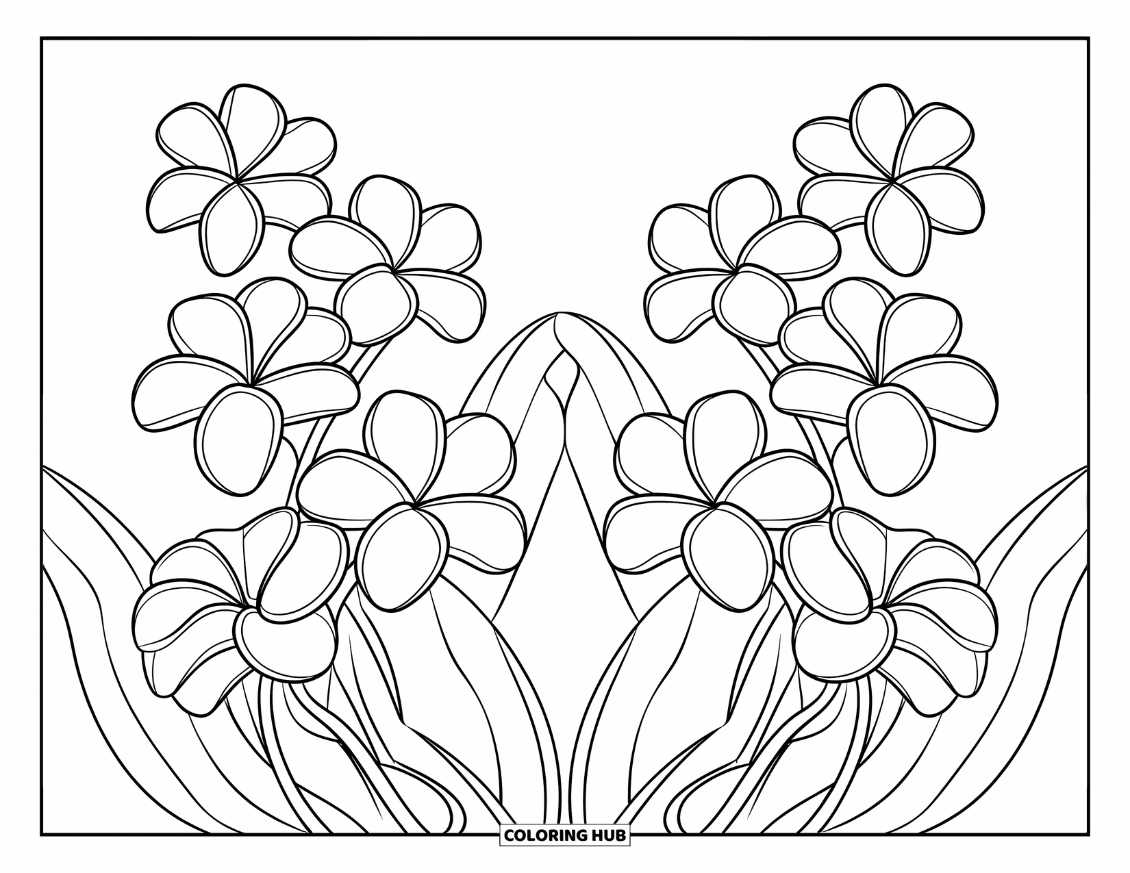Hawaiian Flower Coloring Page for Kids: Plumeria and tiare flowers sit neatly in a clean, side-by-side layout