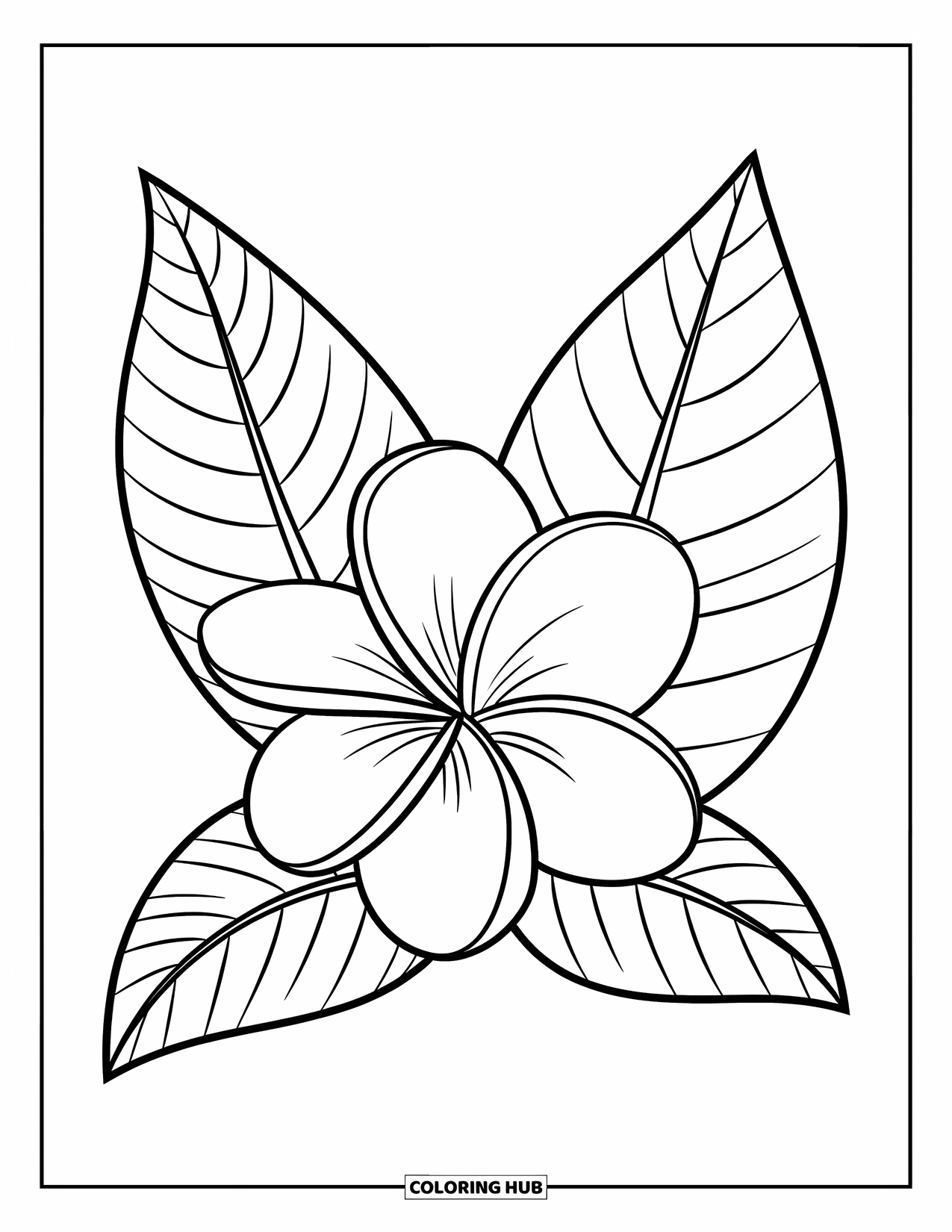 Hawaiian Flower Coloring Page for Kids: Plumeria bloom with round petals and leafy accents