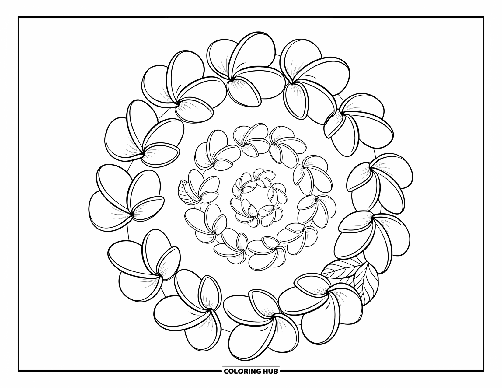 Hawaiian Flower Coloring Page for Kids: Spiral of plumeria blooms with soft leaves twirling through