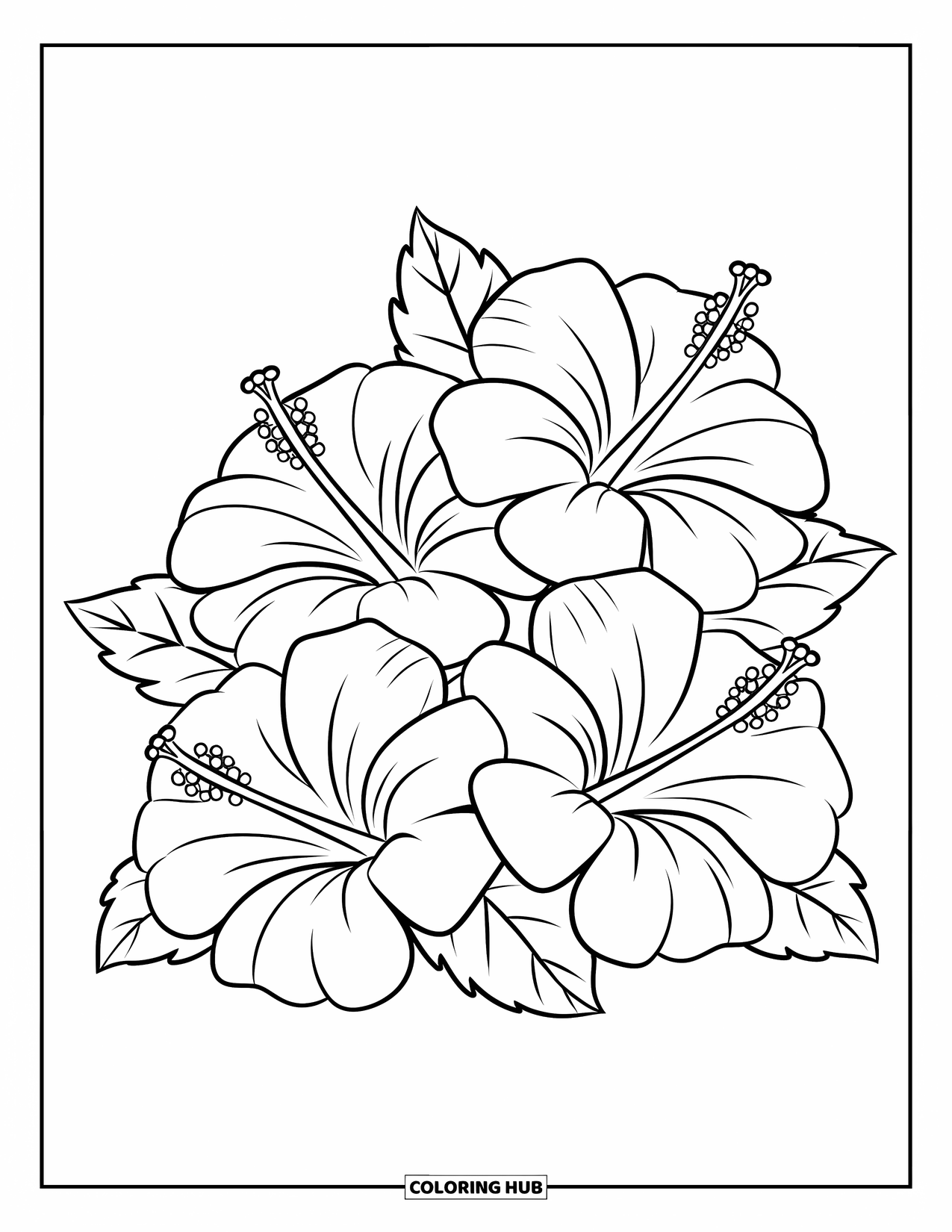Hawaiian Flower Coloring Page for Kids: Three hibiscus flowers form a soft triangle with bold, flowing petals