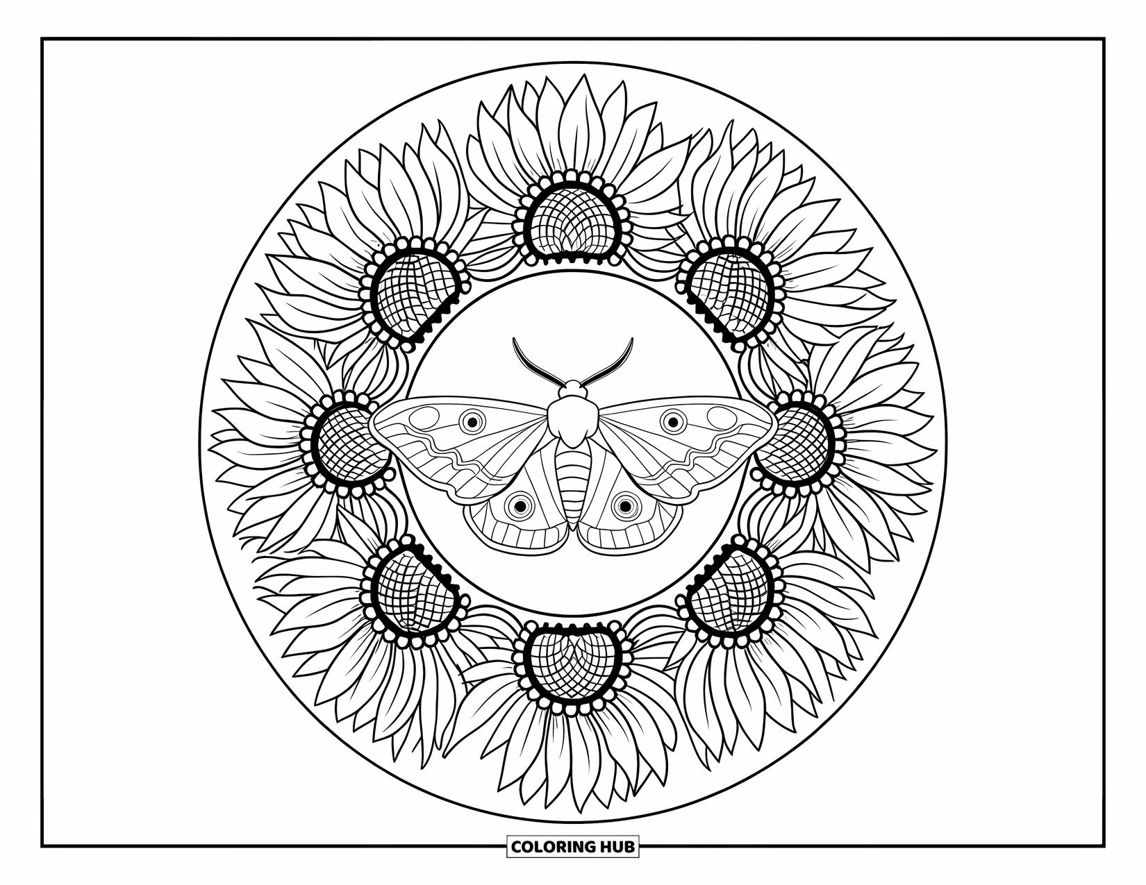 Moth Coloring Page for Adults: A moth with spread wings sits on a sunflower mandala designed for relaxing coloring
