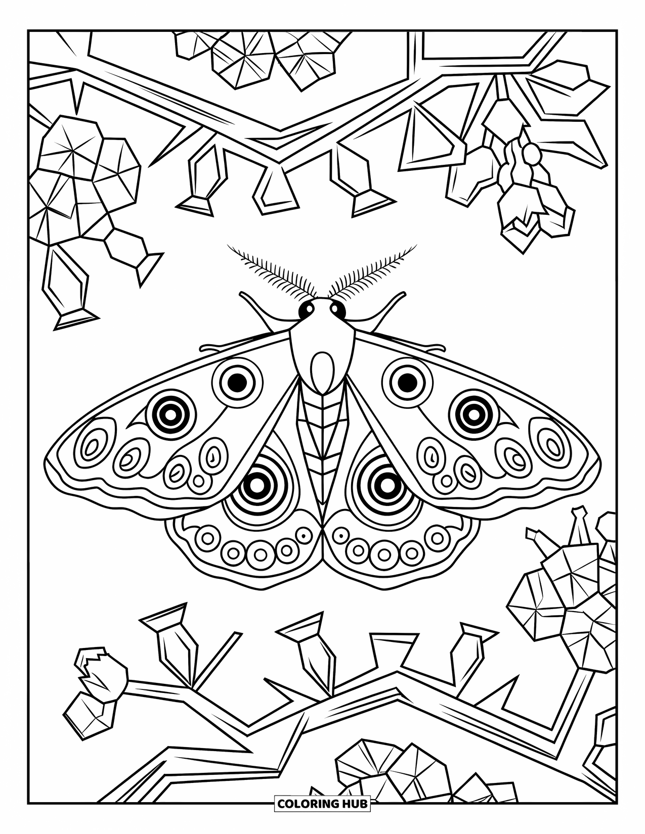 Moth Coloring Page for Adults: A proud Emperor moth perches amid flower vines and bold pattern shapes