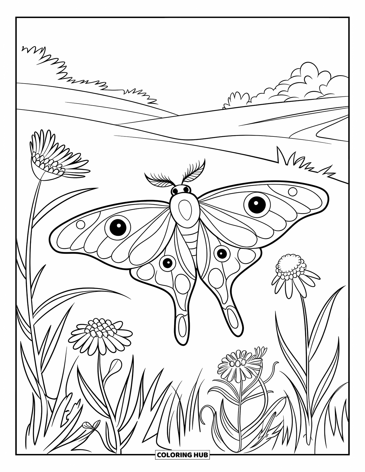 Moth Coloring Page for Kids: A Luna moth soars above wildflowers and swaying tall grass