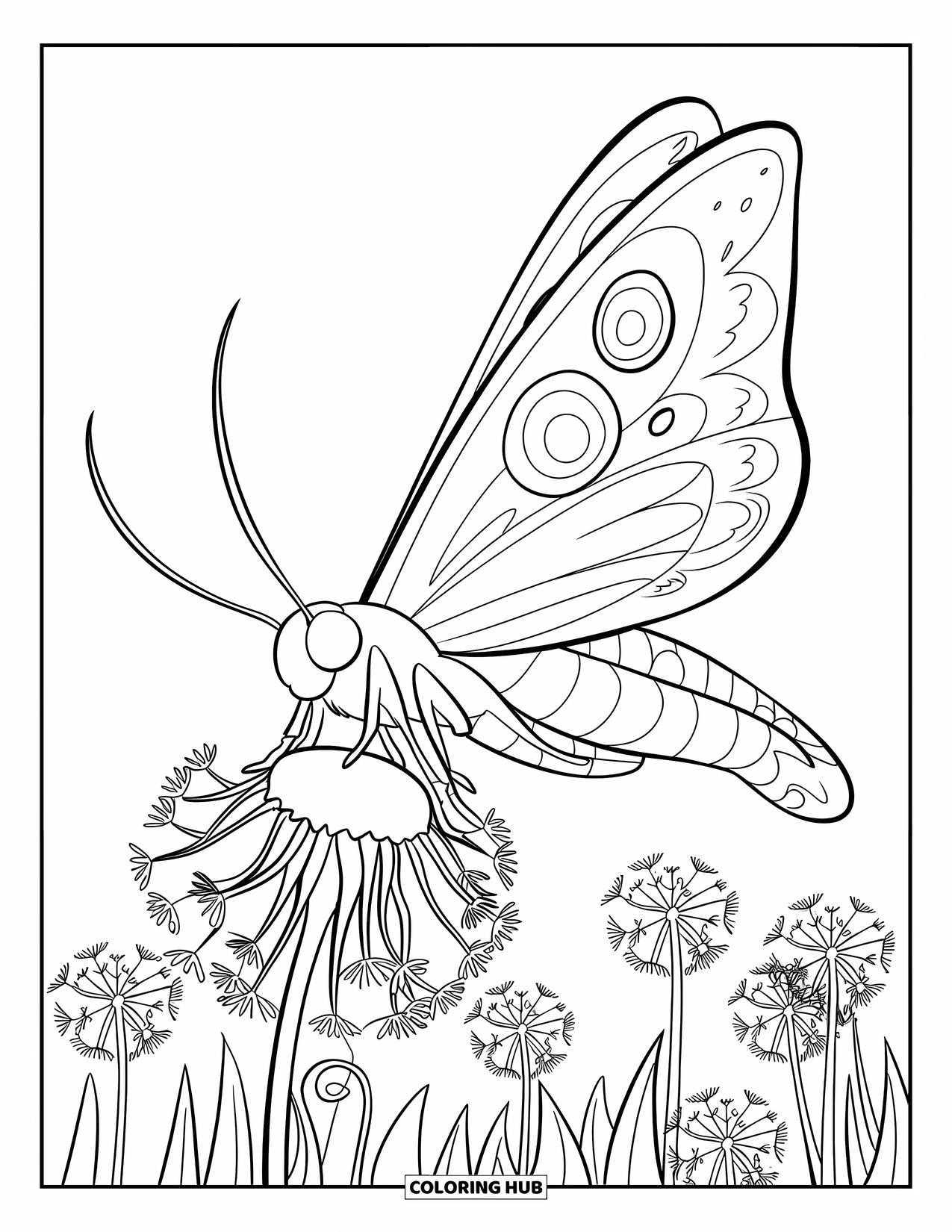 Moth Coloring Page for Kids: A moth settles on a dandelion puff in a field of white and yellow blooms