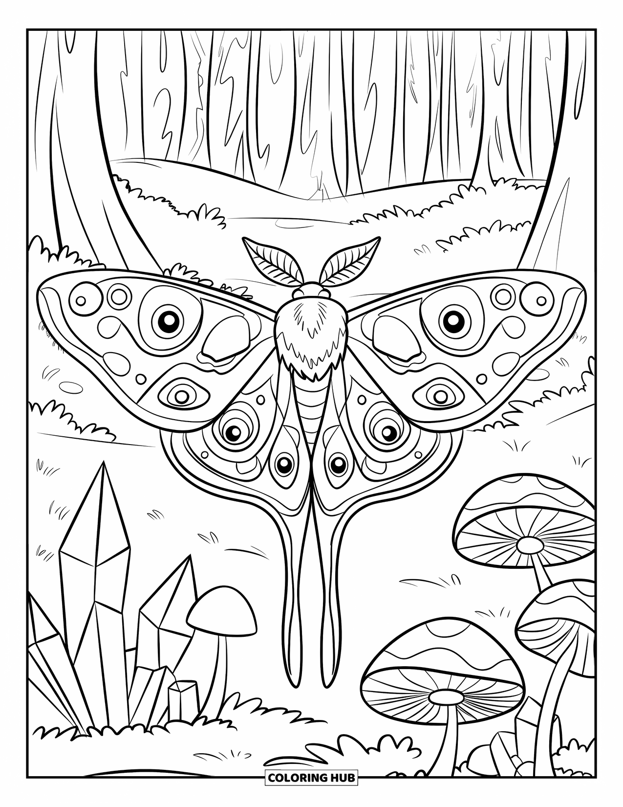 Moth Coloring Page for Kids: A patterned moth flies near glowing crystals and mushrooms among tall trees