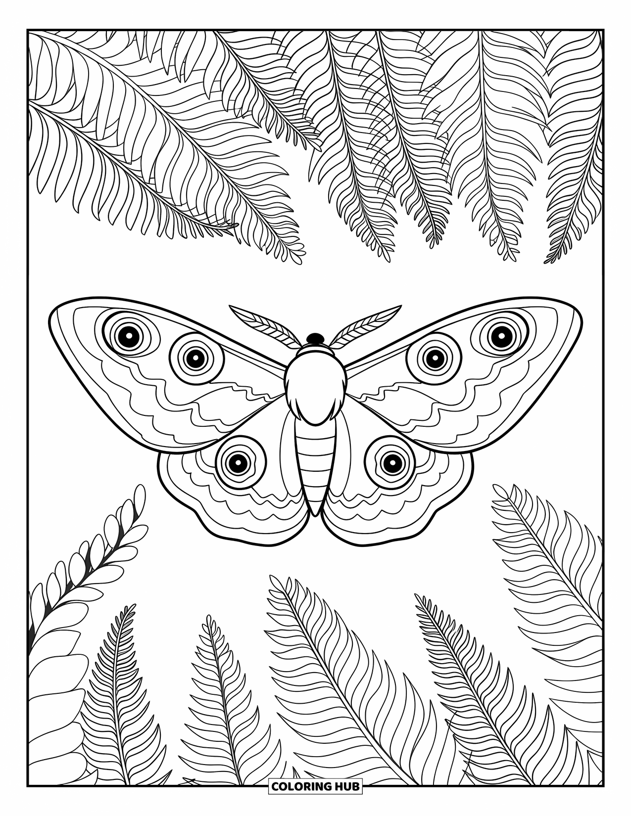 Moth Coloring Page for Kids: An Atlas moth perches on a branch above big ferns and forest trees