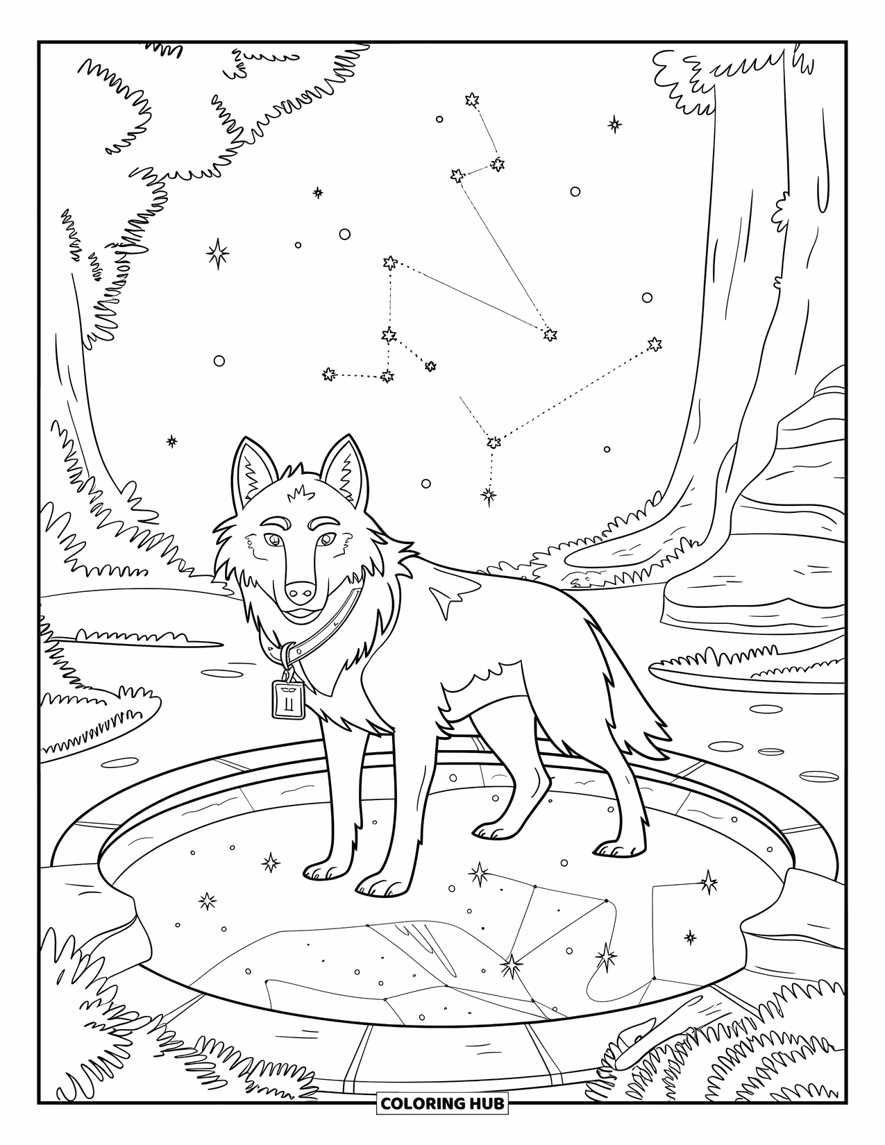 Mythical Wolf Coloring Page for Kids: Spirit wolf gazes into a constellation pool under the starry sky