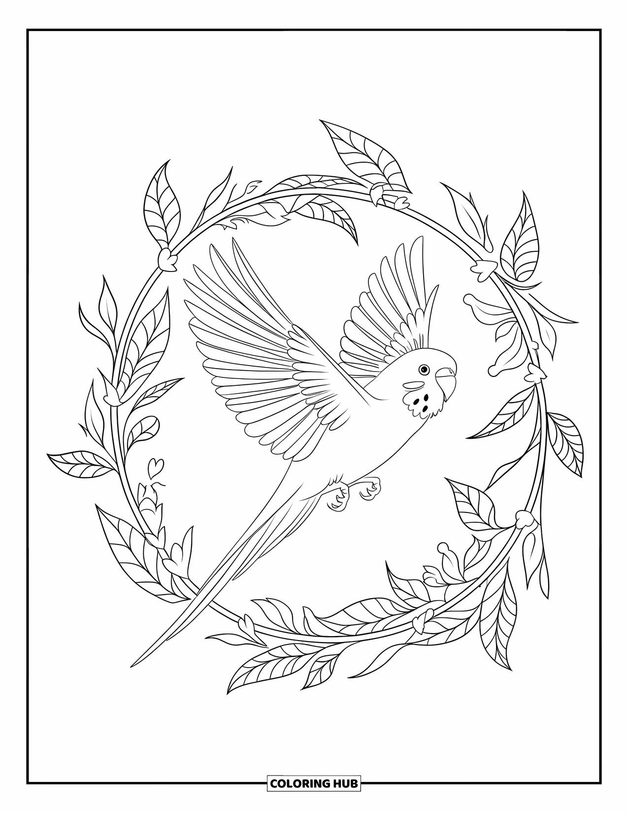 Parakeet Coloring Page for Adults: Parakeet in flight surrounded by an elegant wreath of vines and leaves