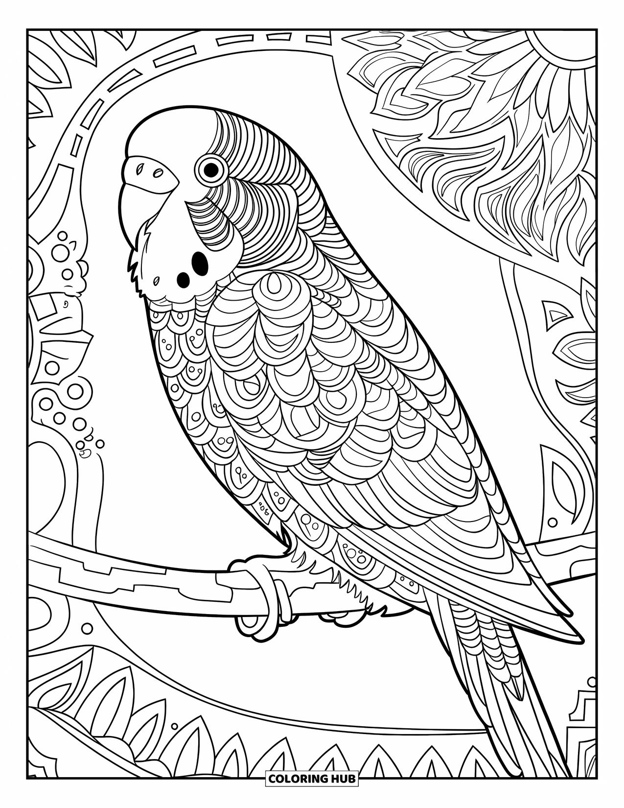 Parakeet Coloring Page for Adults: Parakeet sits on a branch with patterned feathers and a decorative background