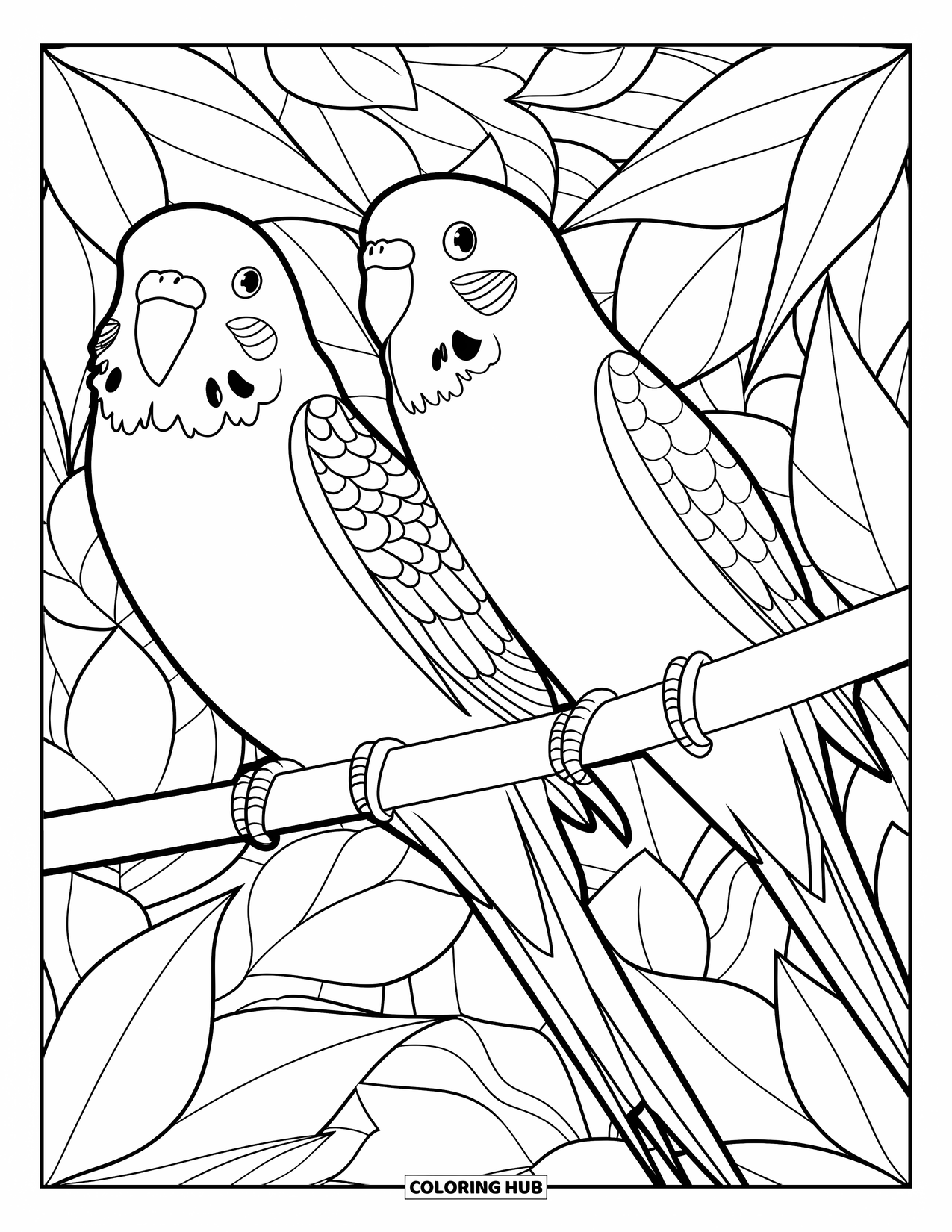 Parakeet Coloring Page for Adults: Two parakeets perch on branches surrounded by leafy mandala-style patterns