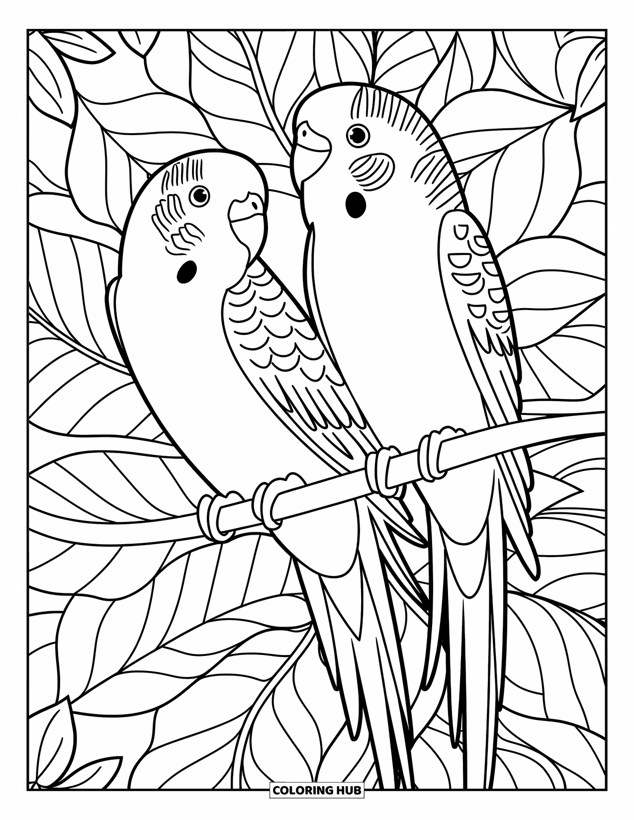 Parakeet Coloring Page for Adults: Two parakeets sit on branches in a pattern of swirling mandala-style leaves