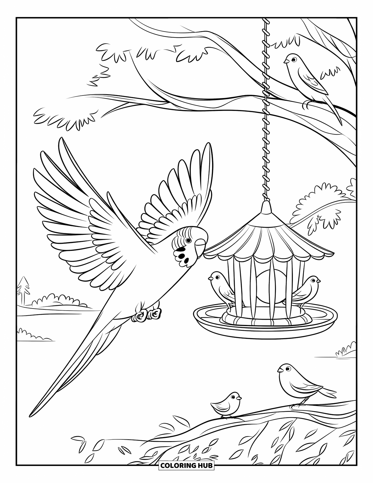 Parakeet Coloring Page for Kids: Parakeet flaps near a hanging feeder with birds resting on a branch nearby