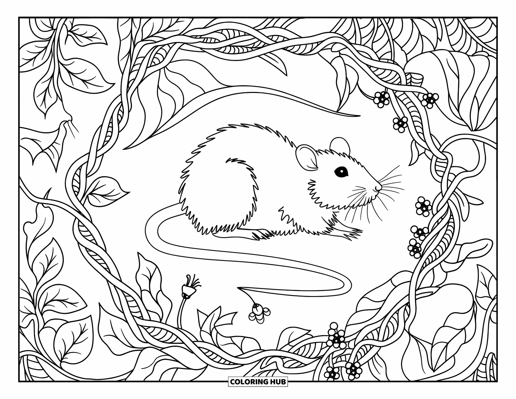 Rat Coloring Page for Adults: Rat with a long tail is framed by patterned herbs, flowers, and berries