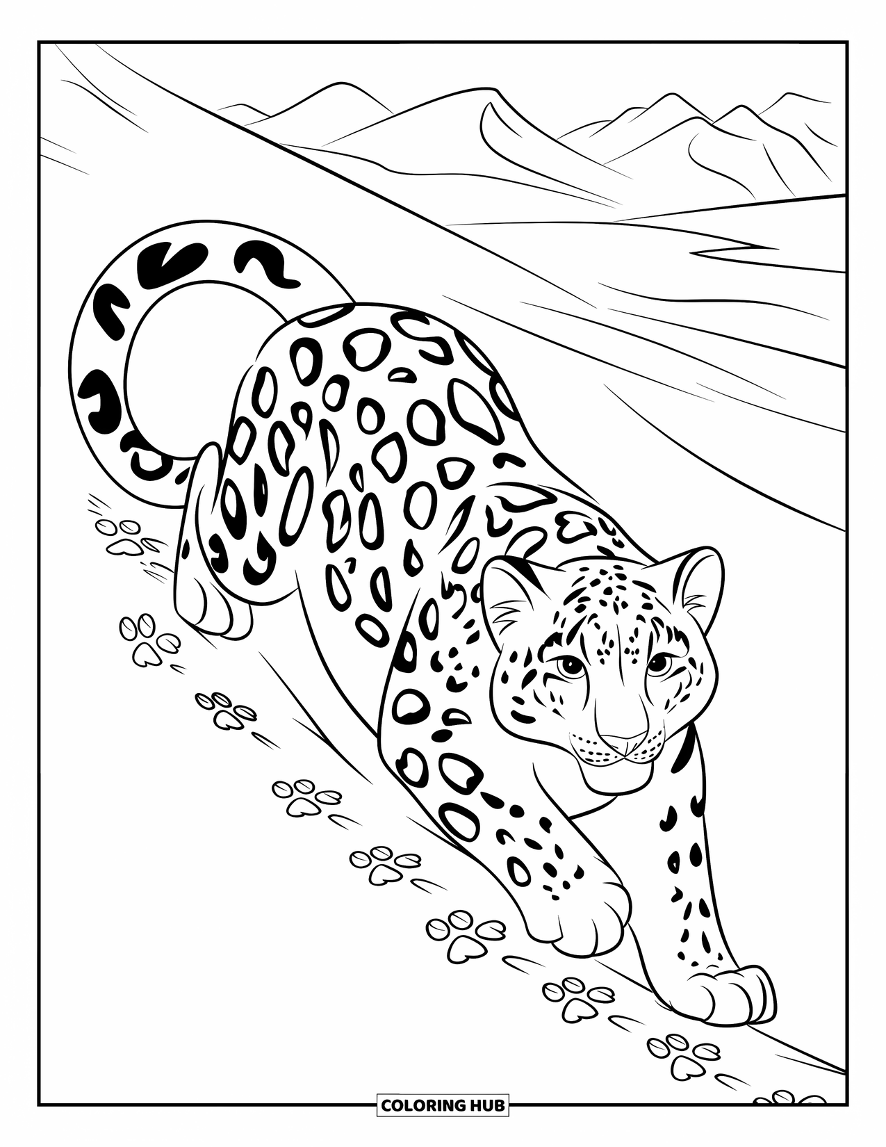 Snow Leopard Coloring Page for Kids: Spotted snow leopard prowls across a quiet, snowy mountain path