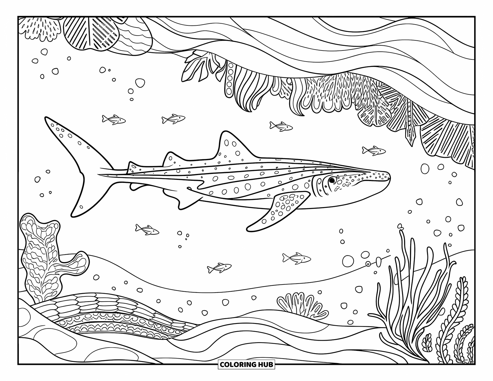 Whale Shark Coloring Page for Adults: Whale shark glides past sea plants and playful fish on a sandy ocean floor