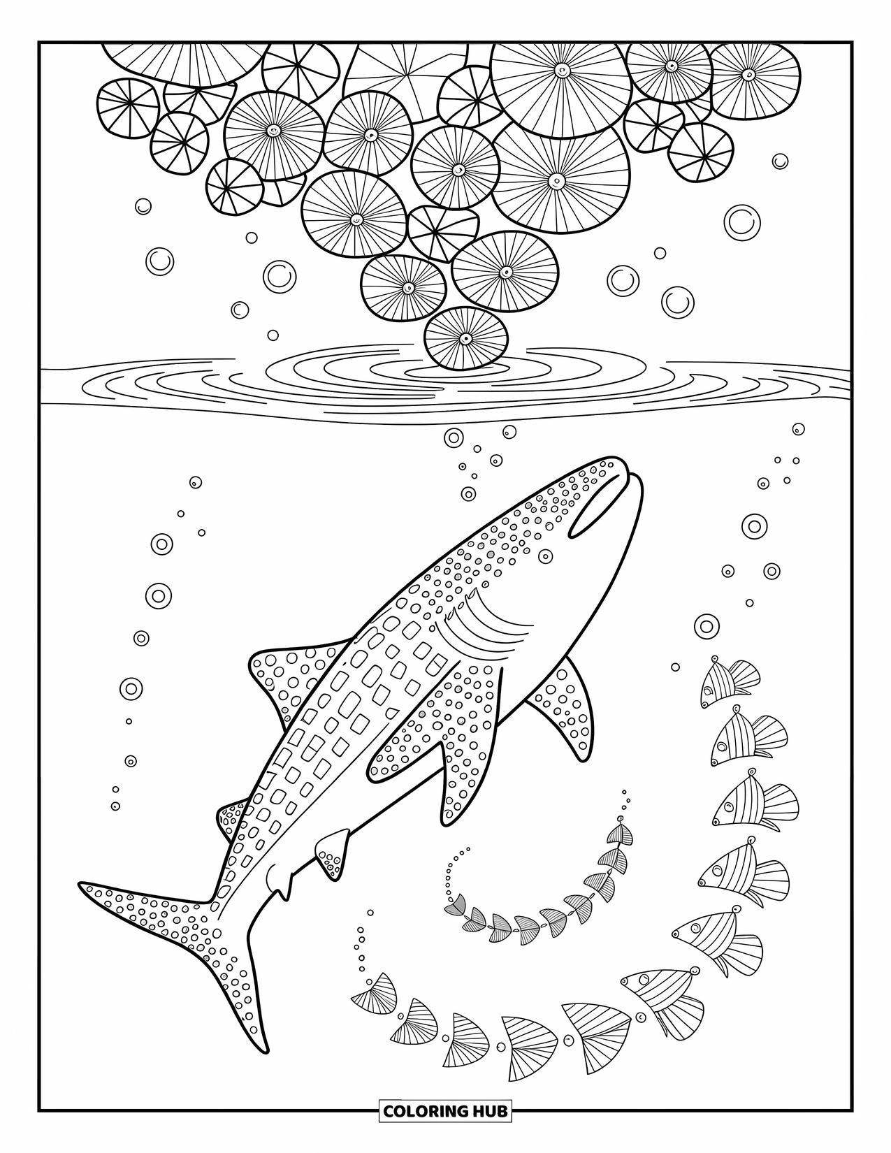 Whale Shark Coloring Page for Adults: Whale shark swims upward toward floating lilies and swirling bubbles