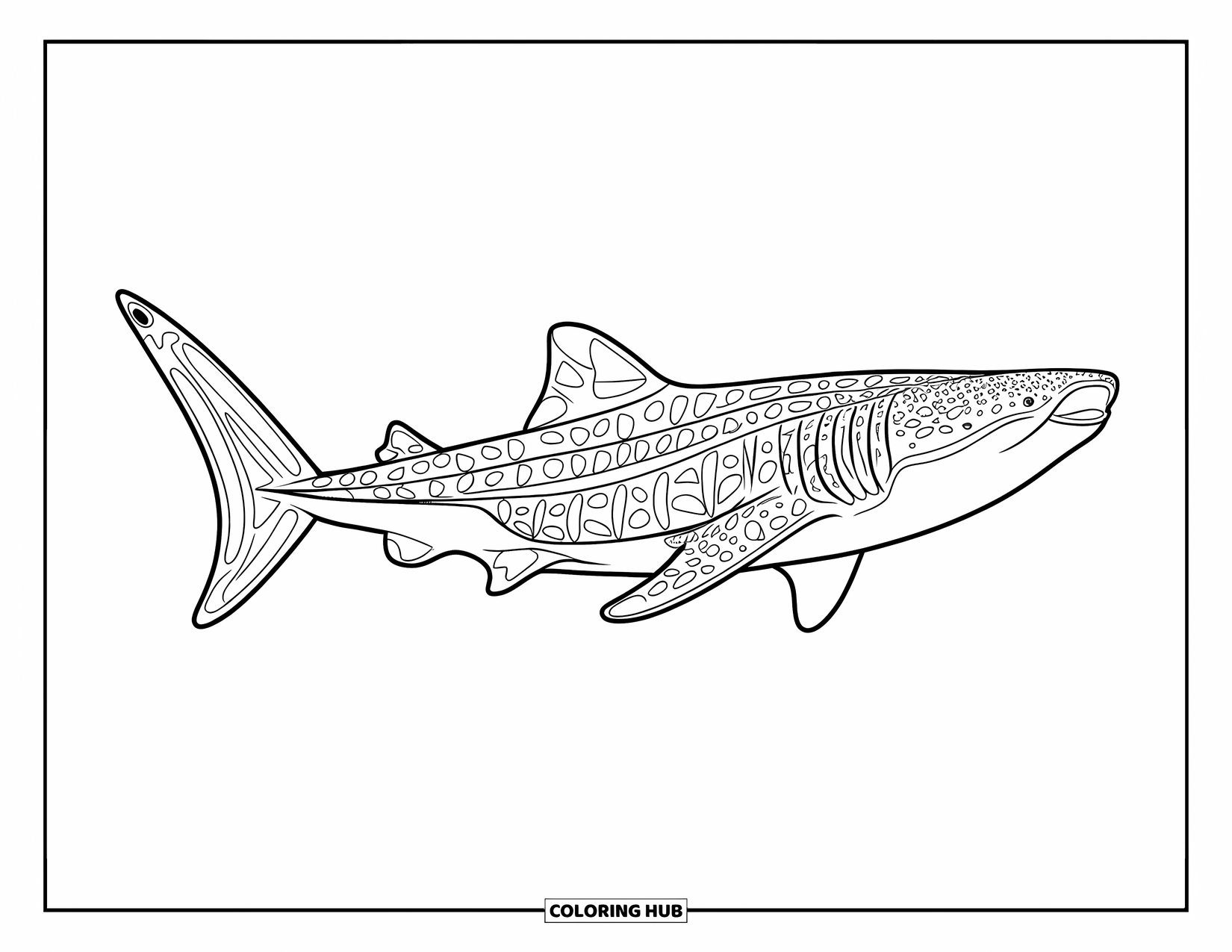 Whale Shark Coloring Page for Kids: Shark with bold fins glides over simple sea floor with bubbles