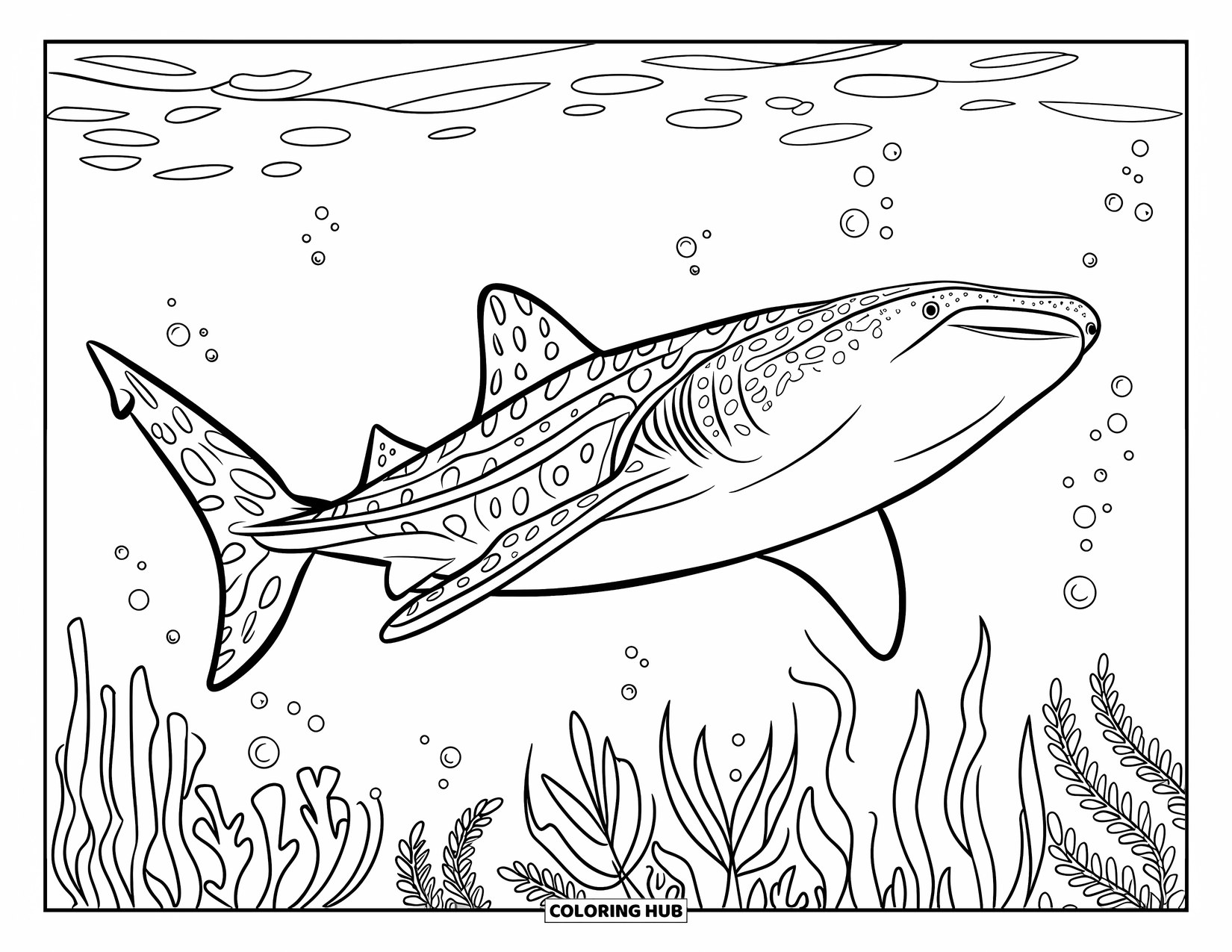 Whale Shark Coloring Page for Kids: Whale shark with detailed fins swims above seaweed-covered ocean bed