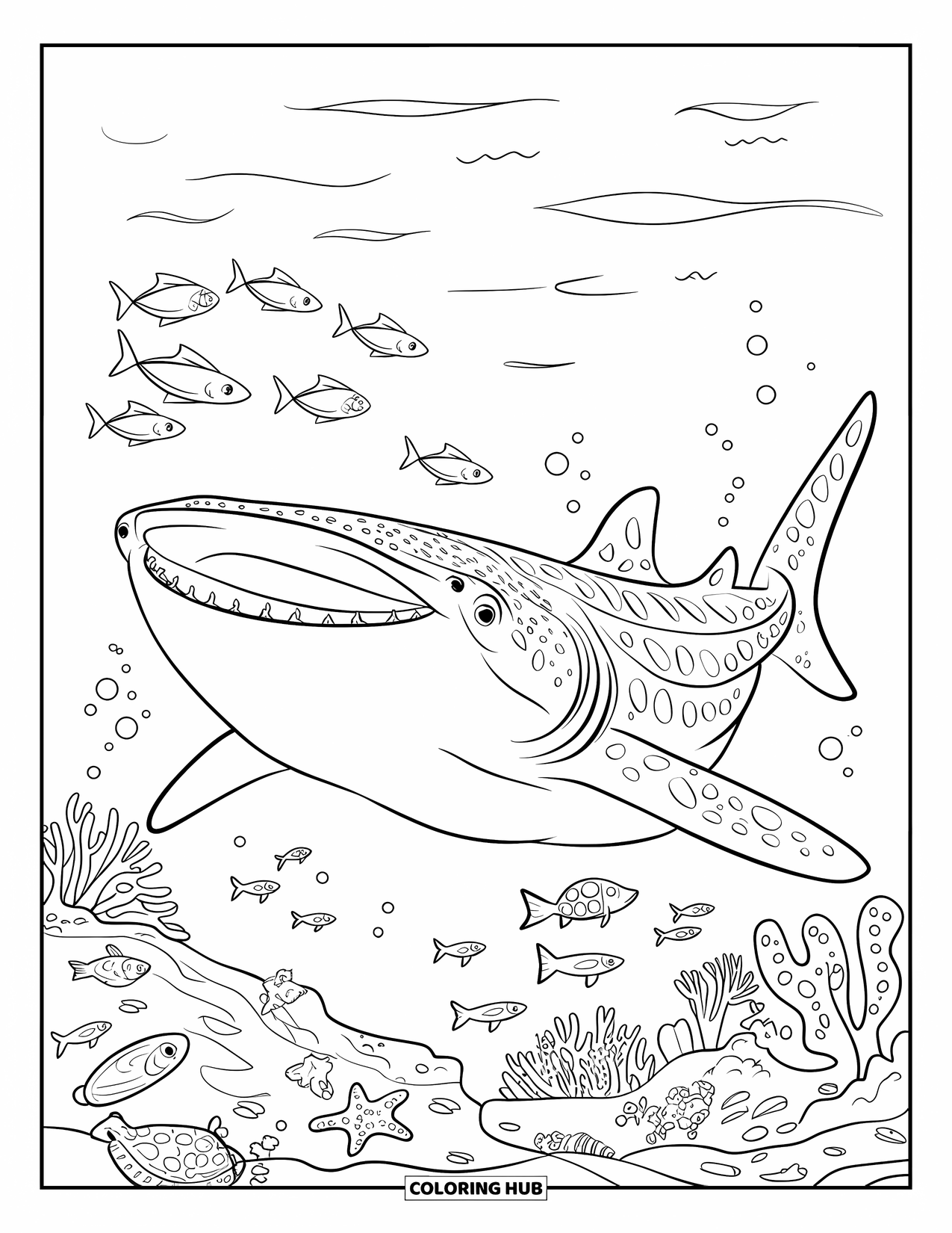 Whale Shark Coloring Page for Kids: Whale shark with wide mouth swims near sea turtles and starfish