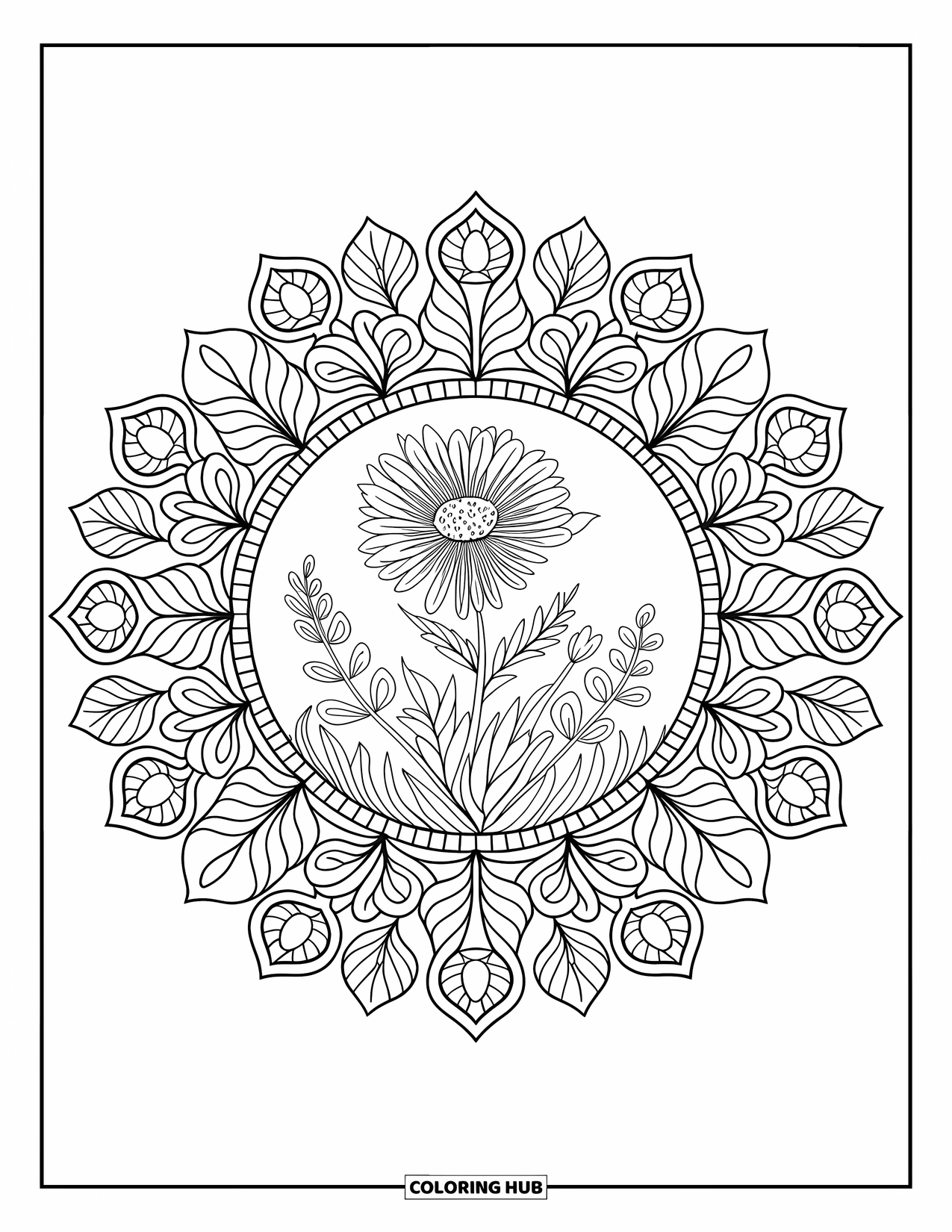 Wildflower Coloring Page for Adults: Wildflower surrounded by a detailed mandala of leaves and vines