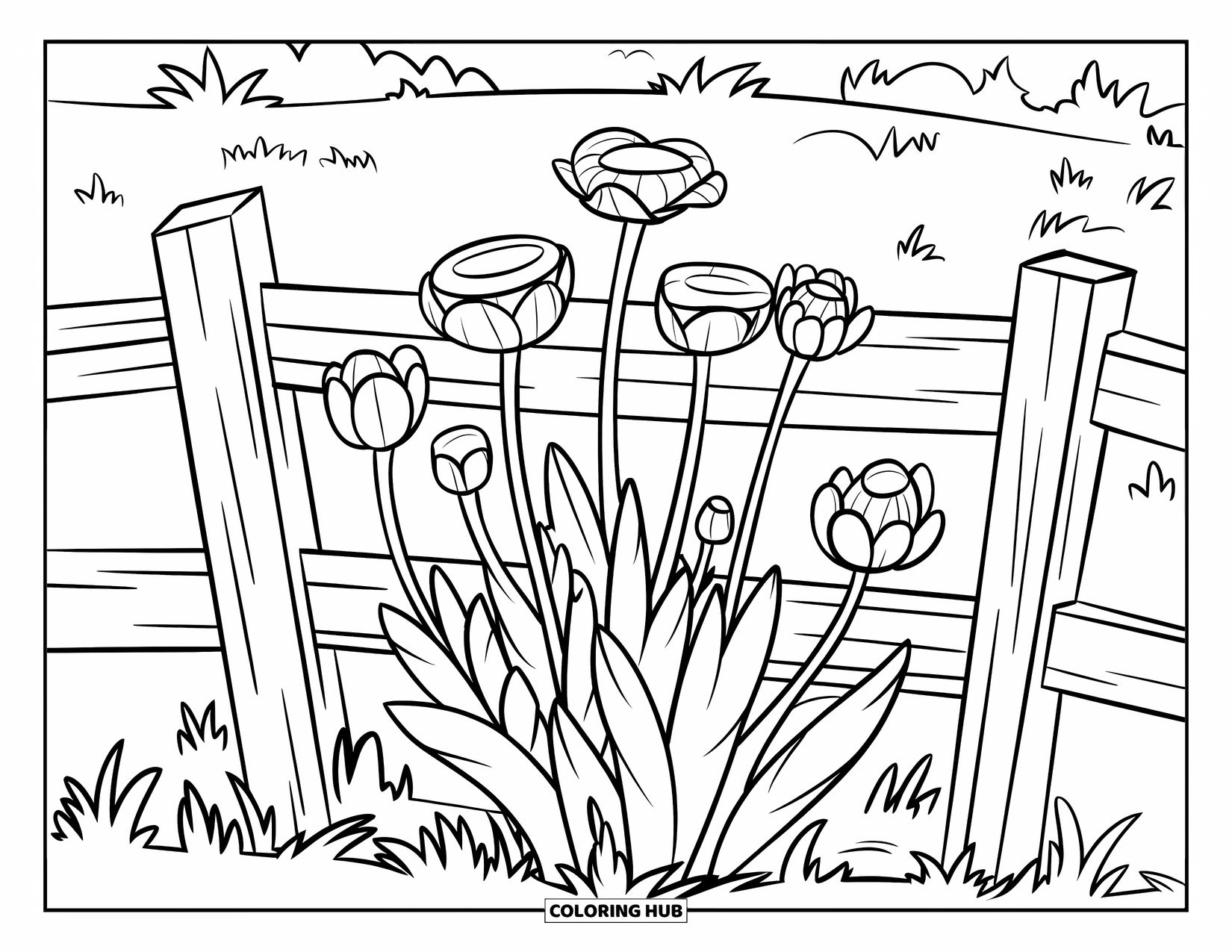 Wildflower Coloring Page for Kids: Blooming wildflowers peek over a wooden fence in a sunny field