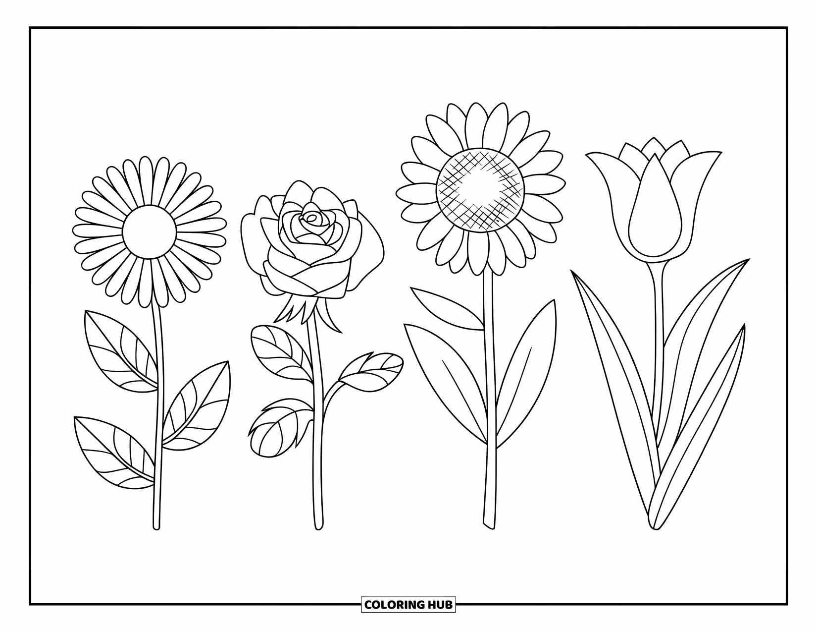 Wildflower Coloring Page for Kids: Row of labeled flowers like daisy, rose, tulip, sunflower, and lily in bloom