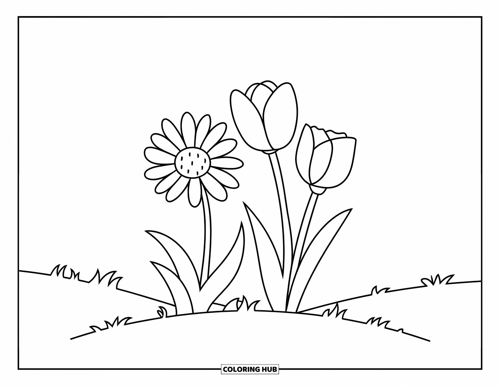 Wildflower Coloring Page for Kids: Simple wildflower and tulips together on a peaceful hill