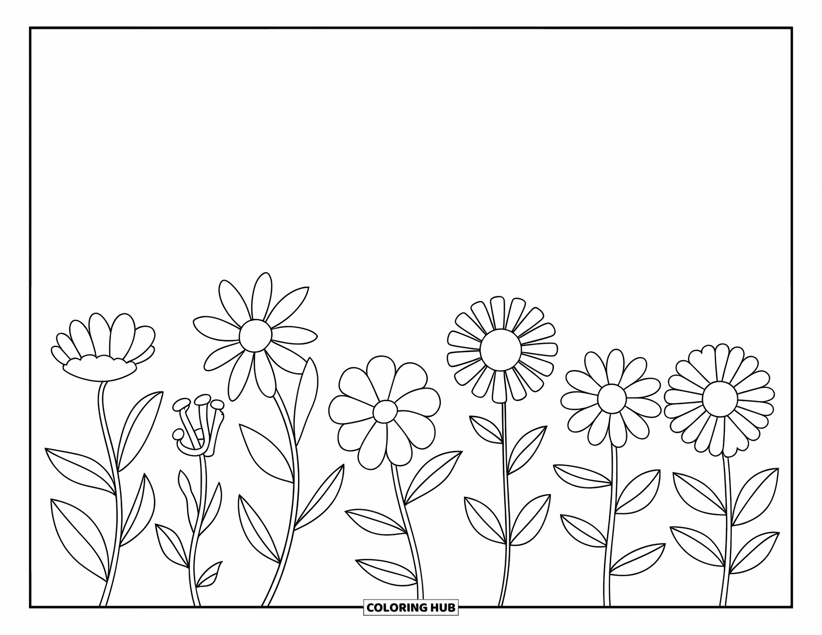 Wildflower Coloring Page for Kids: Wildflowers in a neat row with labels showing their names and petal styles