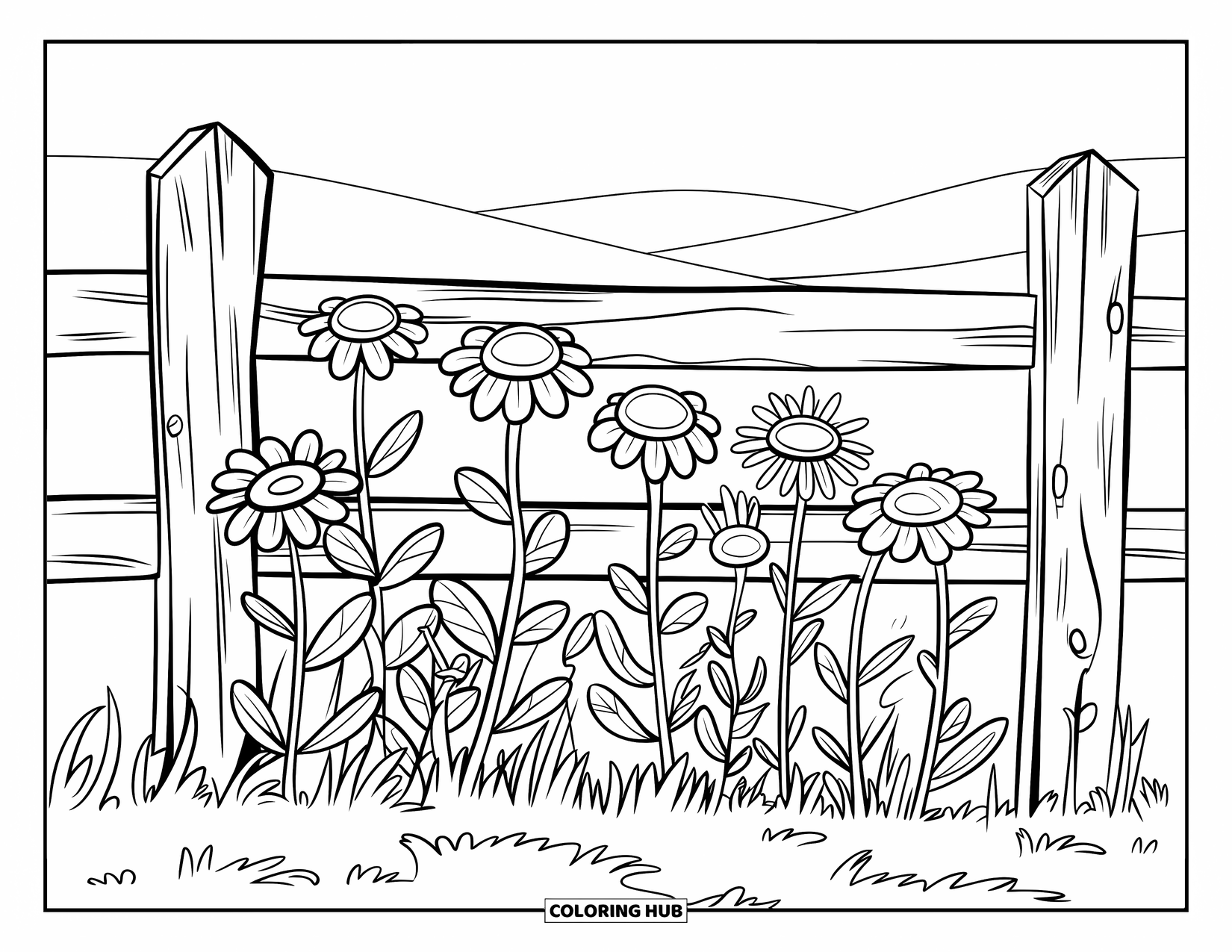 Wildflower Coloring Page for Kids: Wildflowers with thick stems grow behind a rustic wooden fence