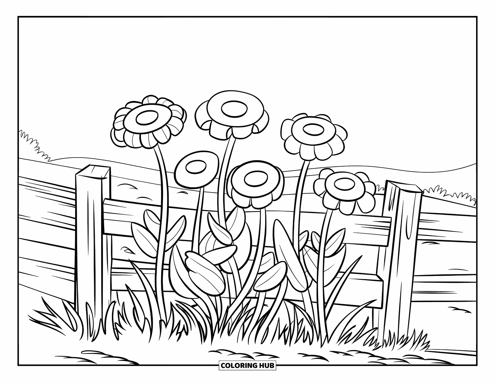Wildflower Coloring Page for Kids: Wooden fence with wildflowers blooming behind it in the open