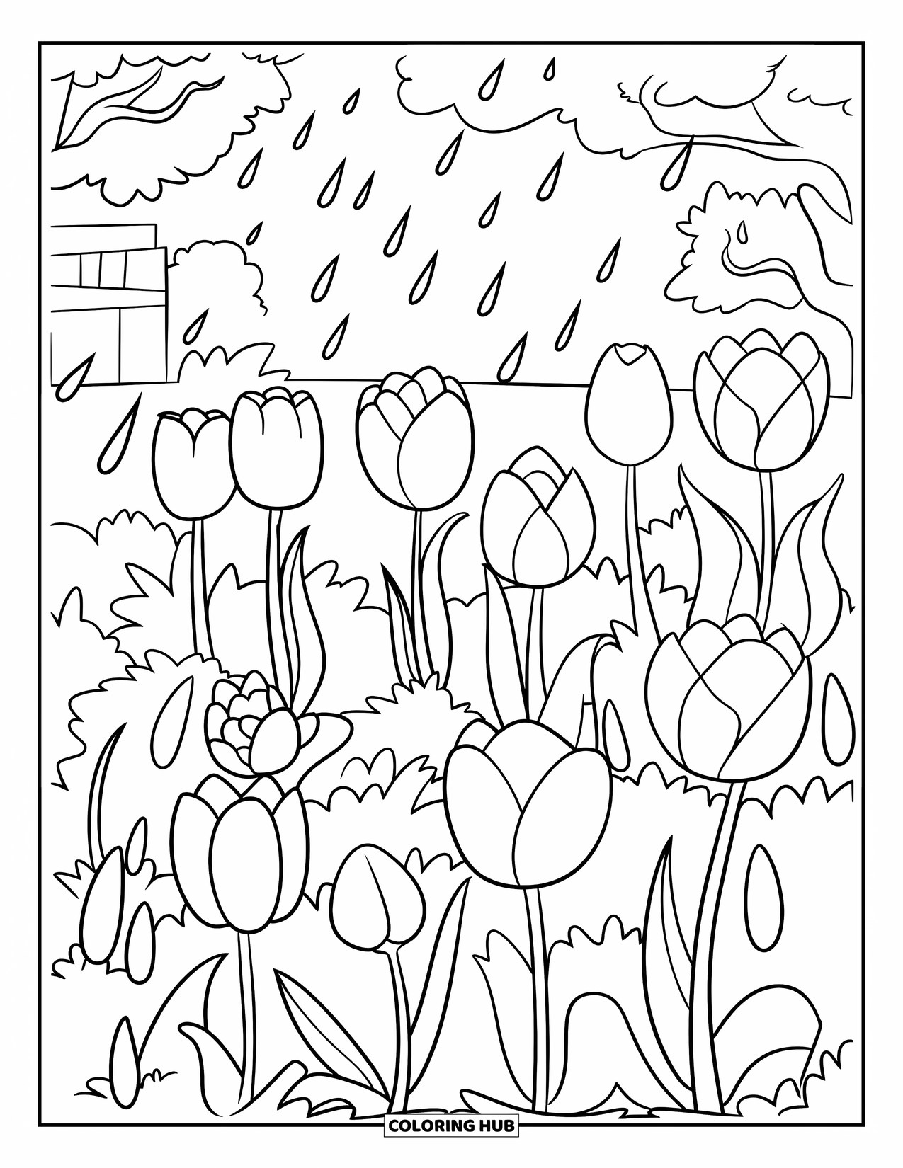 April Showers Coloring Page for Kids: Blooming tulips with April showers in the garden